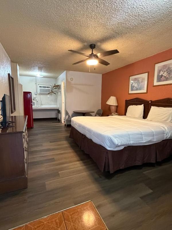 Single Room photo 1
