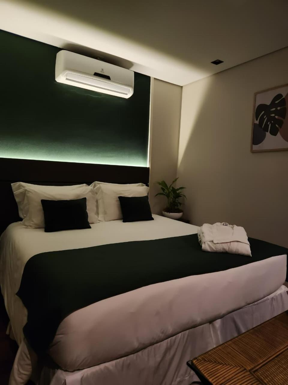 Luxury Suite
