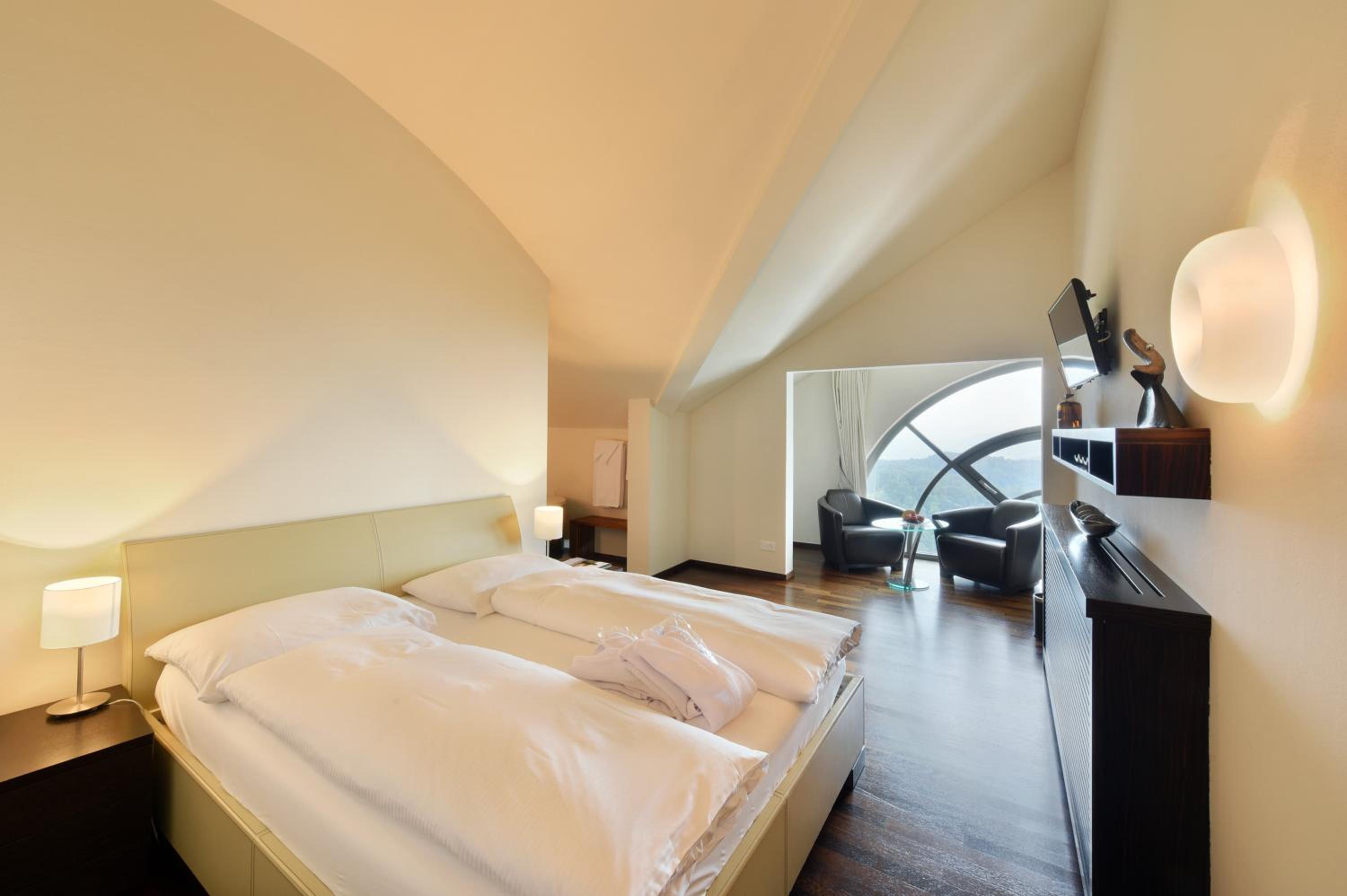  Junior Suite with Alps and Lake View - Photo 3