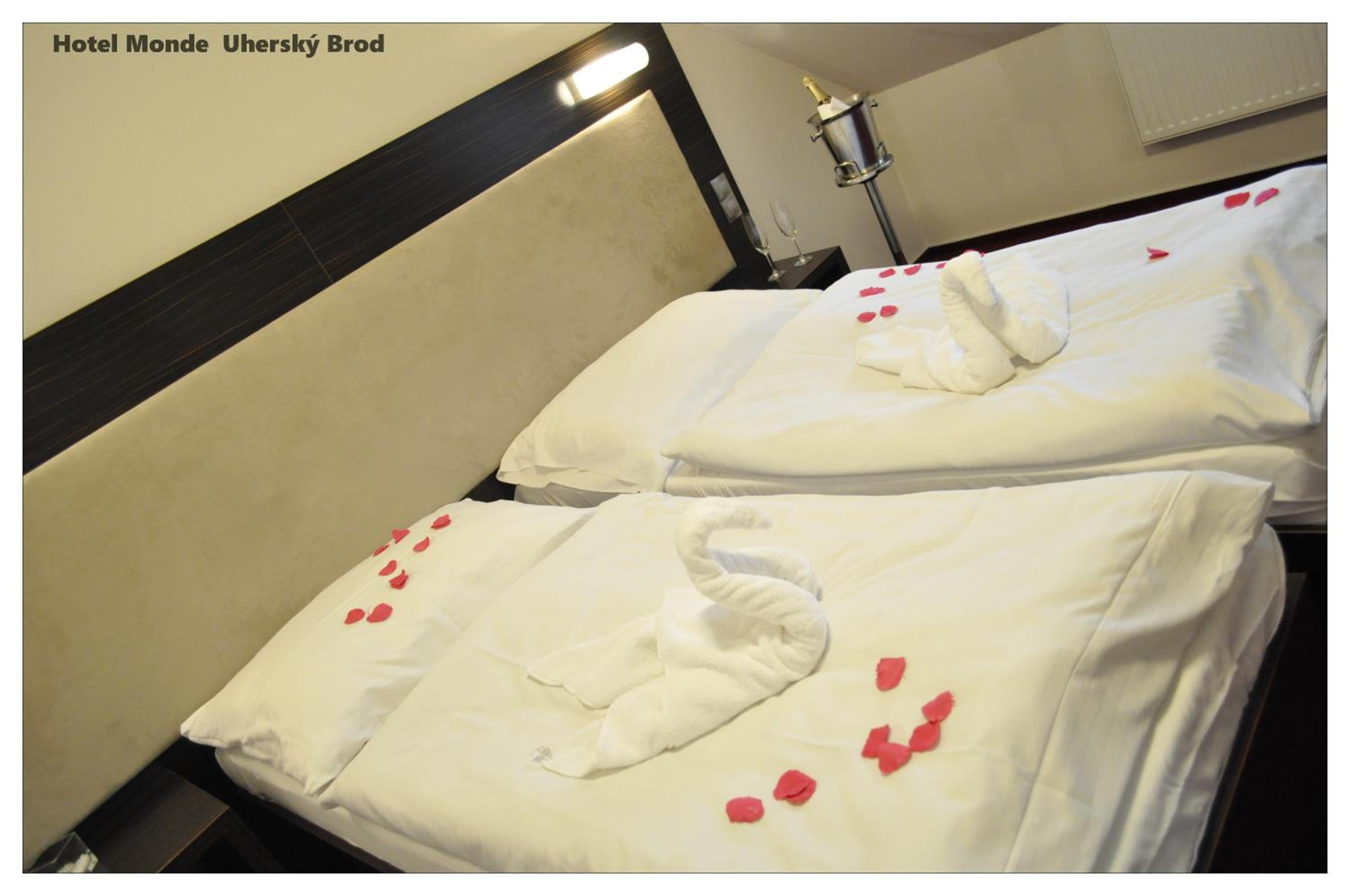 Suite - Photo 6