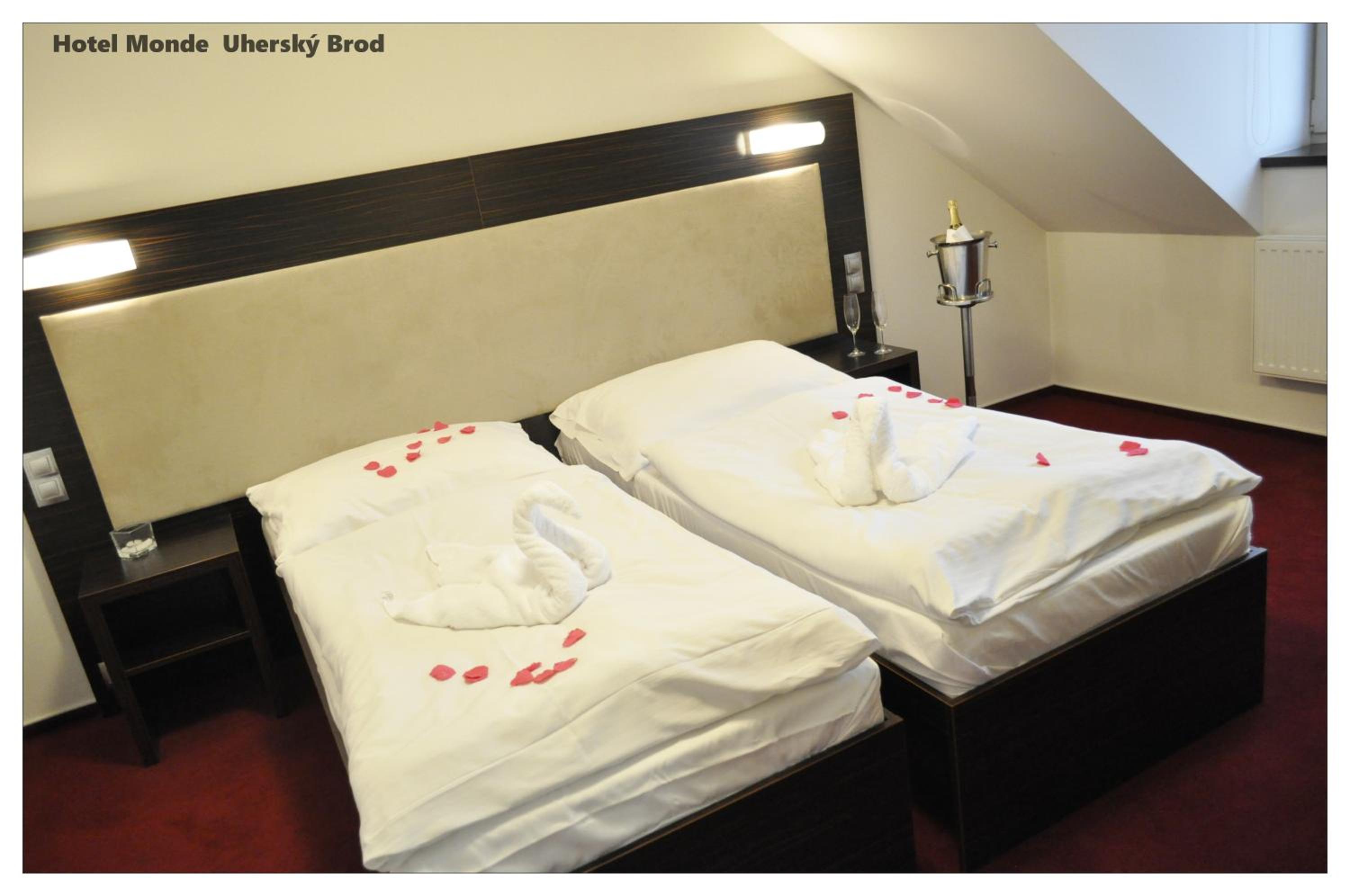 Suite - Photo 5