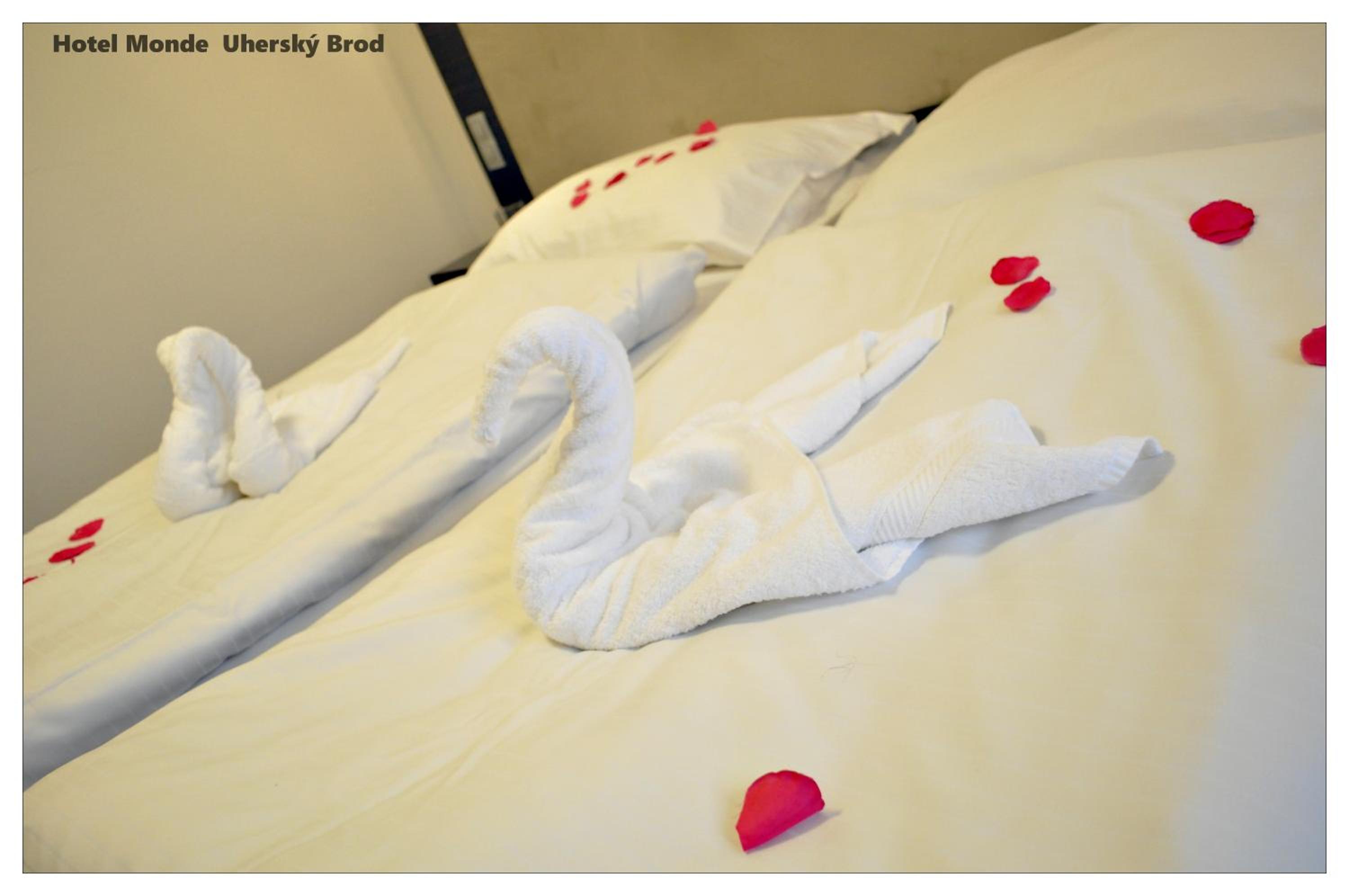 Suite - Photo 3