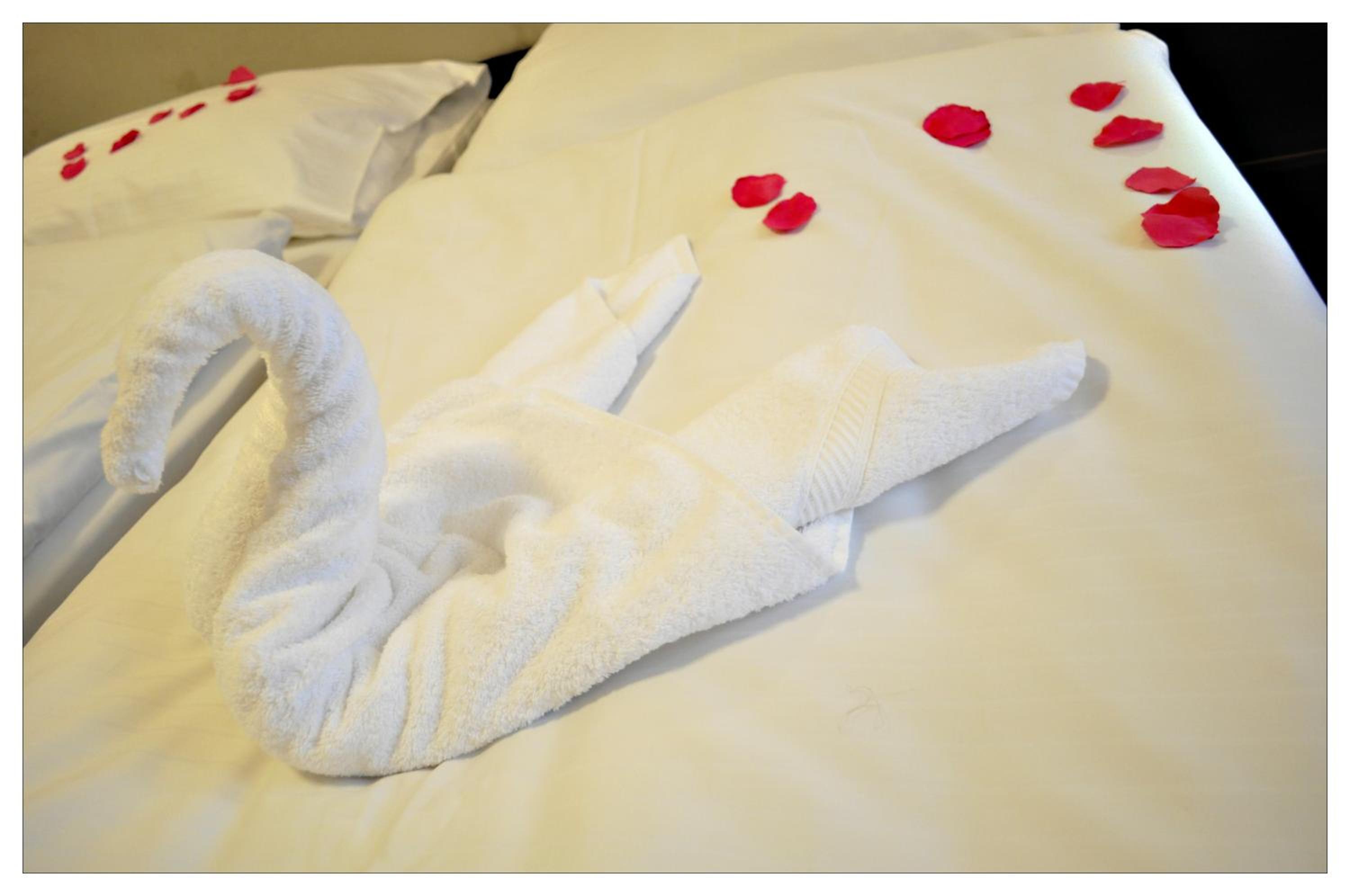 Suite - Photo 2