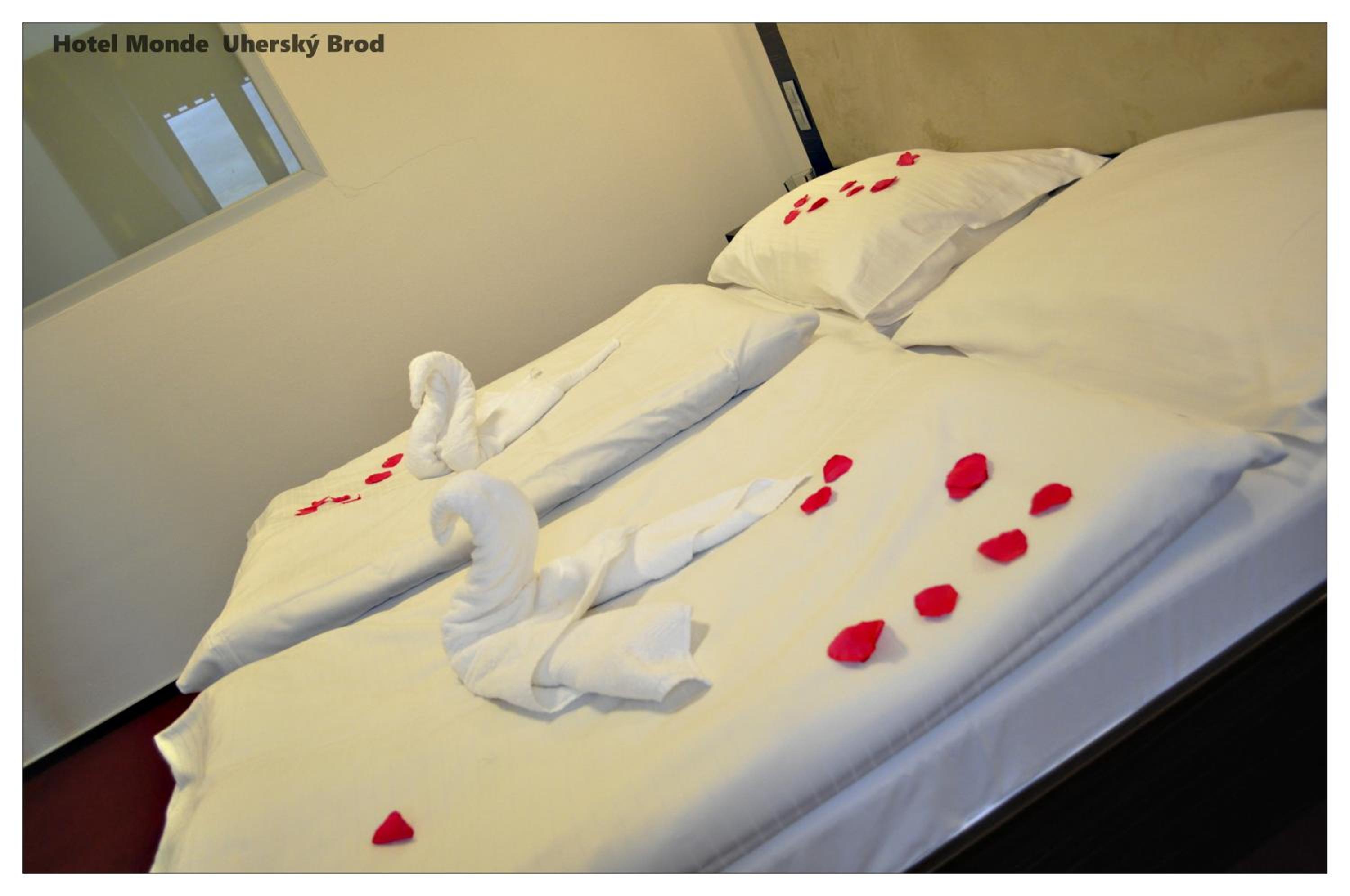 Suite - Photo 7