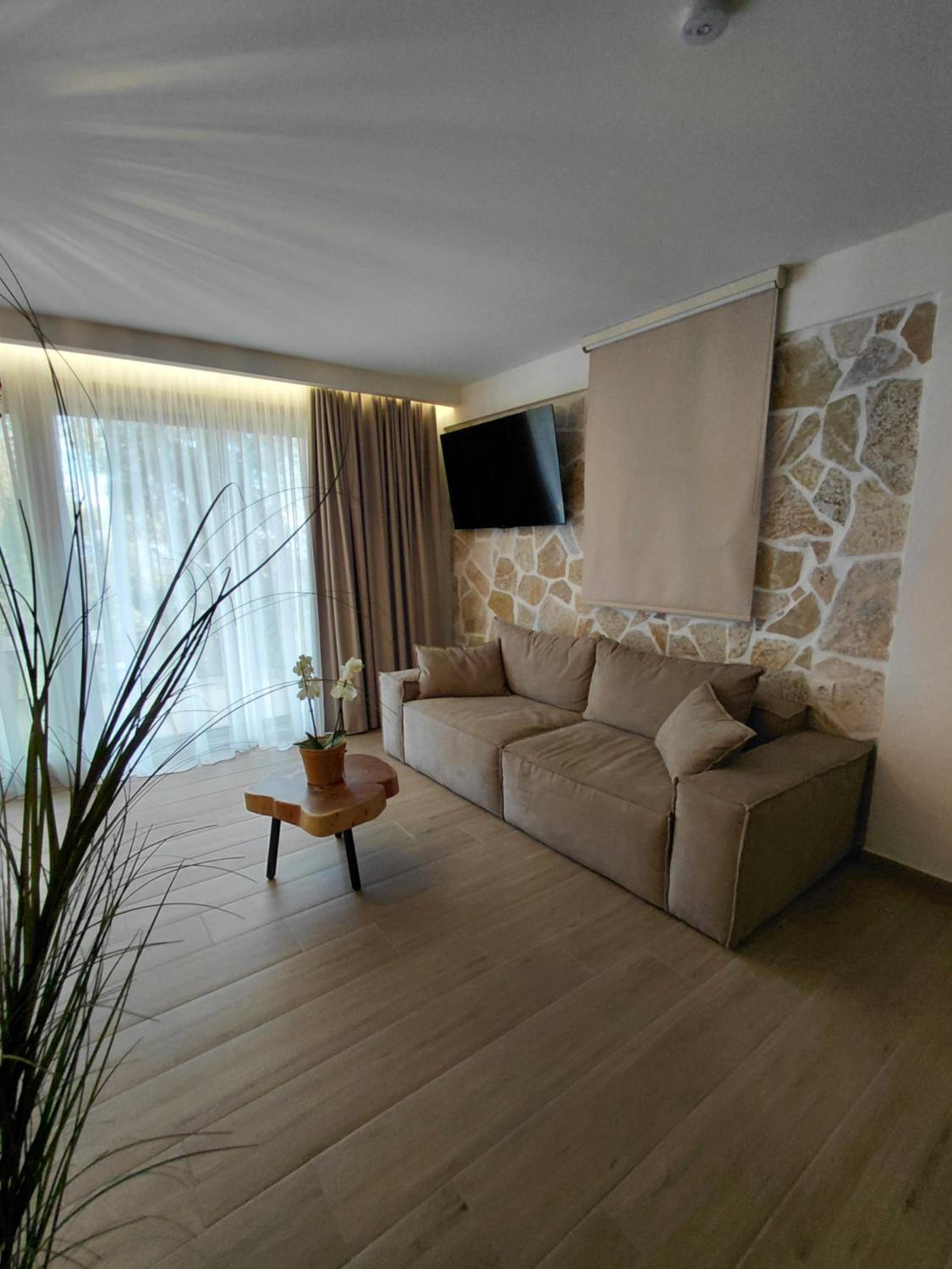 Deluxe Villa photo 3