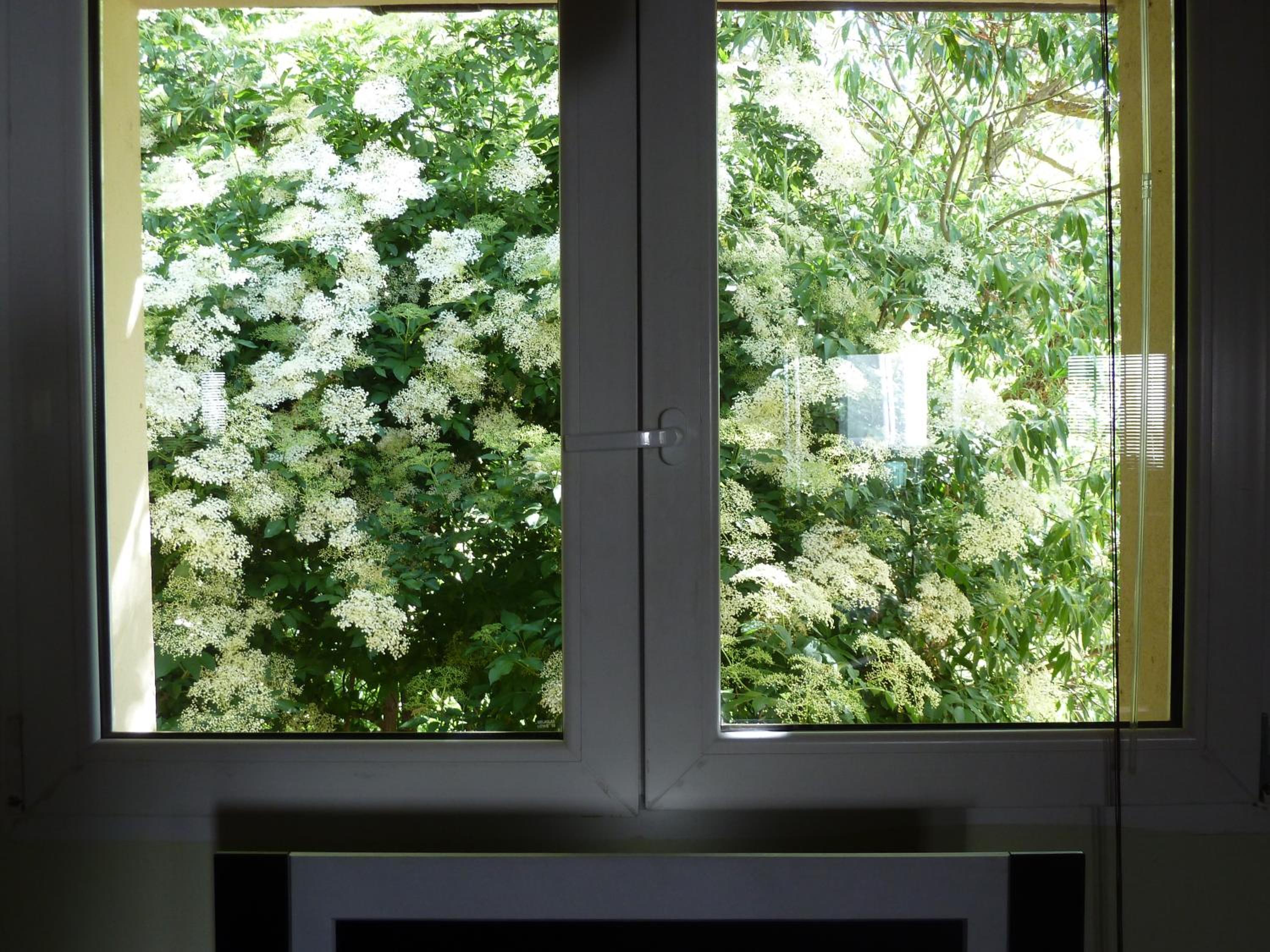 Queen Room With Garden View photo 3