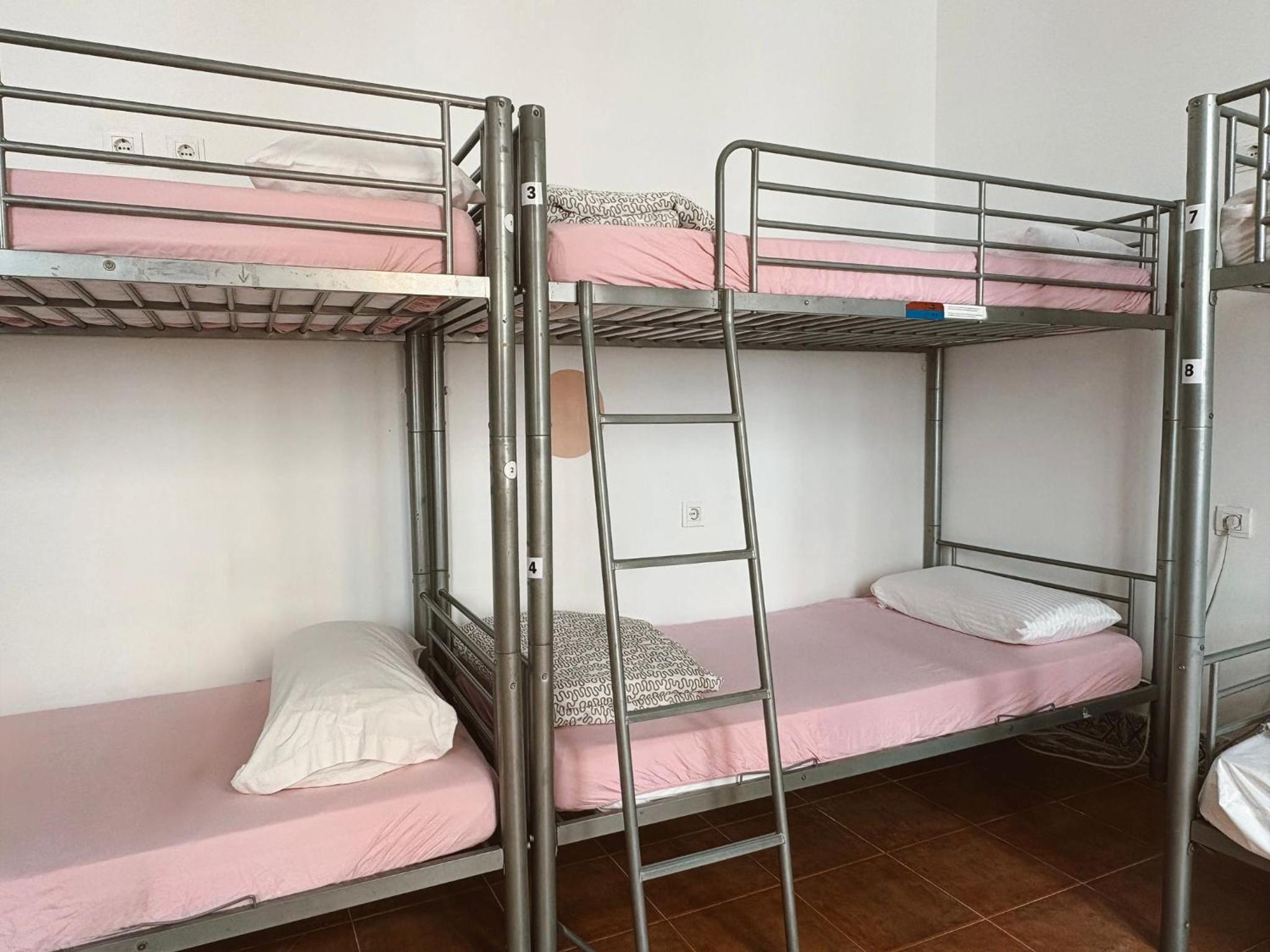 Bed in 8-Bed Mixed Dormitory Room
