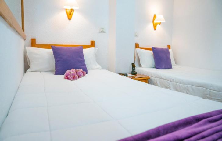 Twin Room photo 1