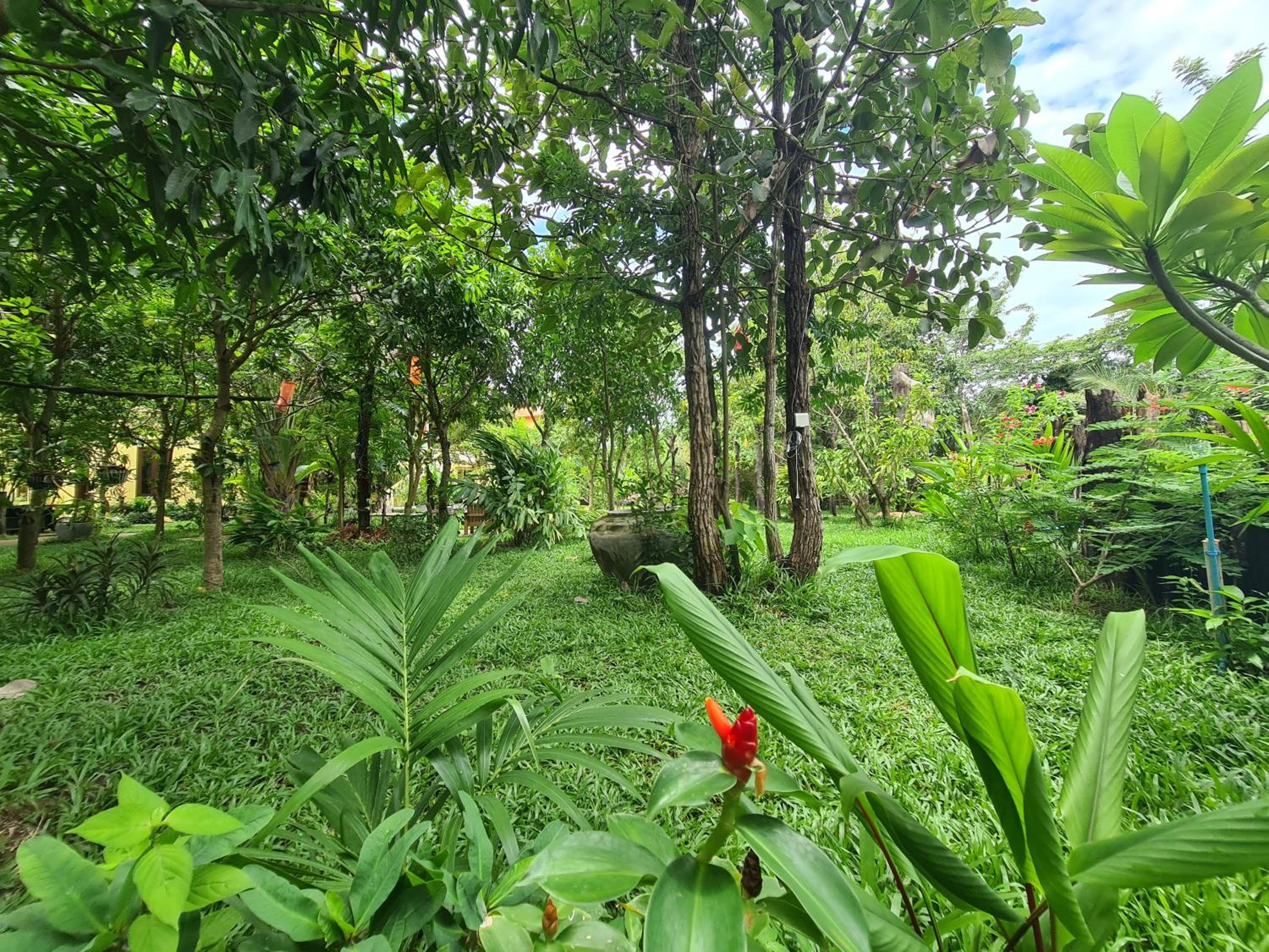 Twin Room with Garden View - Photo 5