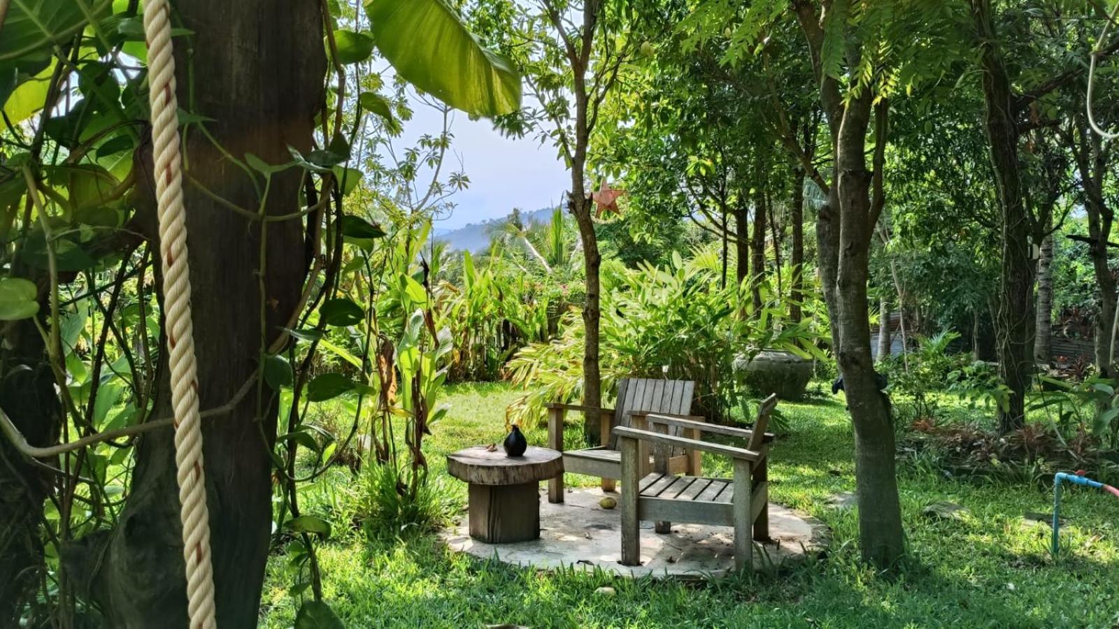 Twin Room with Garden View - Photo 8