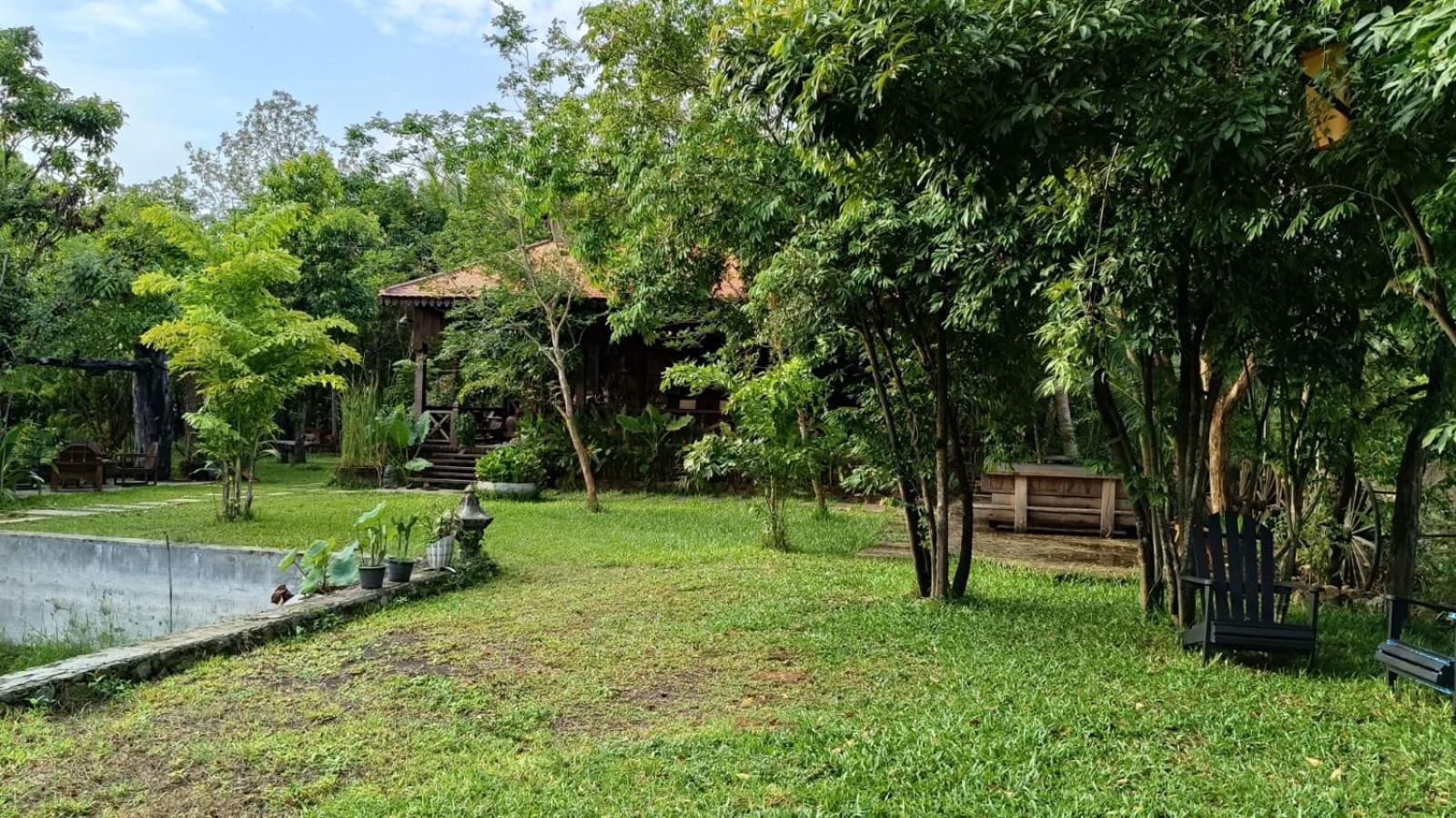 Double Room with Garden View - Photo 10