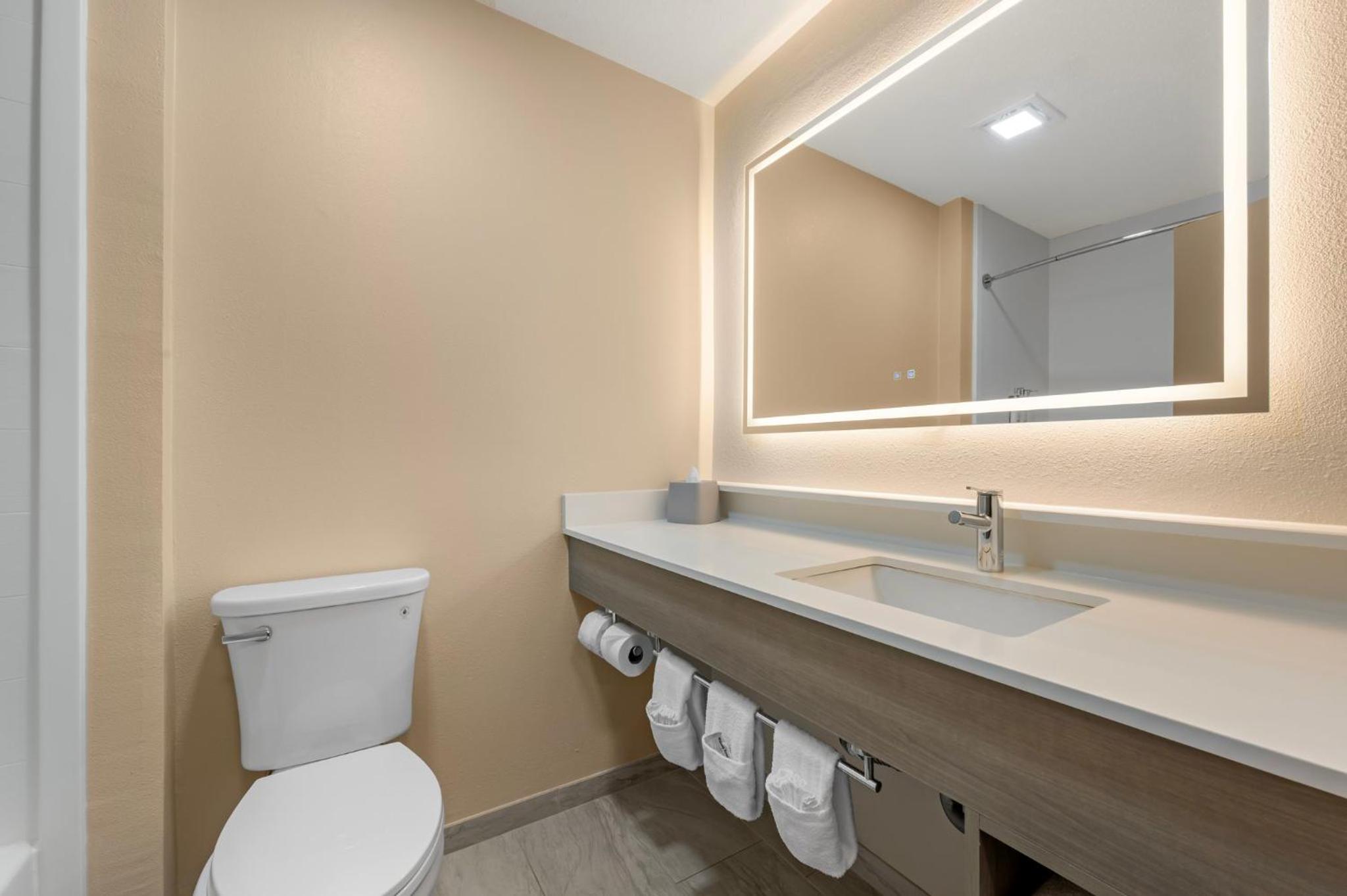 Standard Queen Room with Two Queen Beds and Mobility Accessible Tub - Photo 6