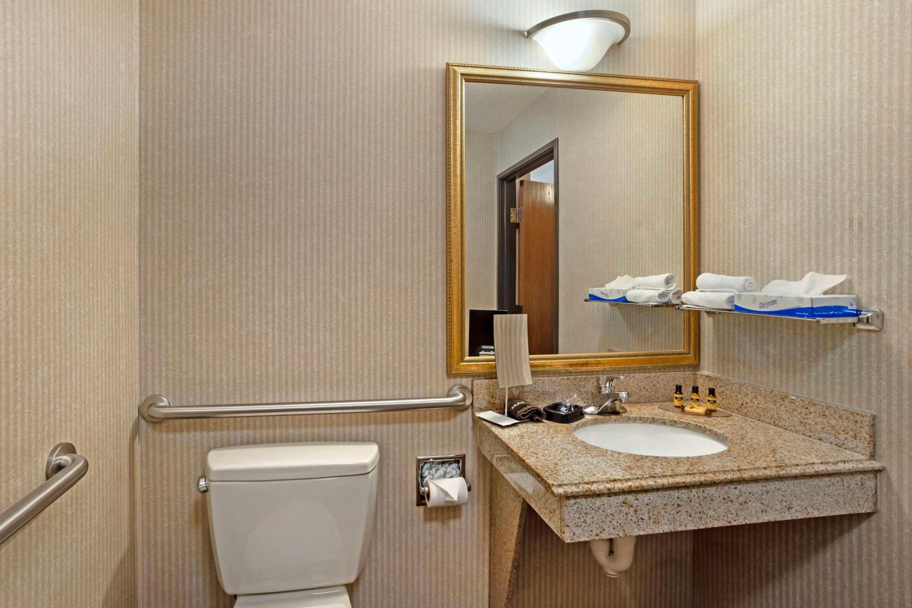 King Room with Roll-in Shower - Mobility Accessible/Non-Smoking - Photo 5