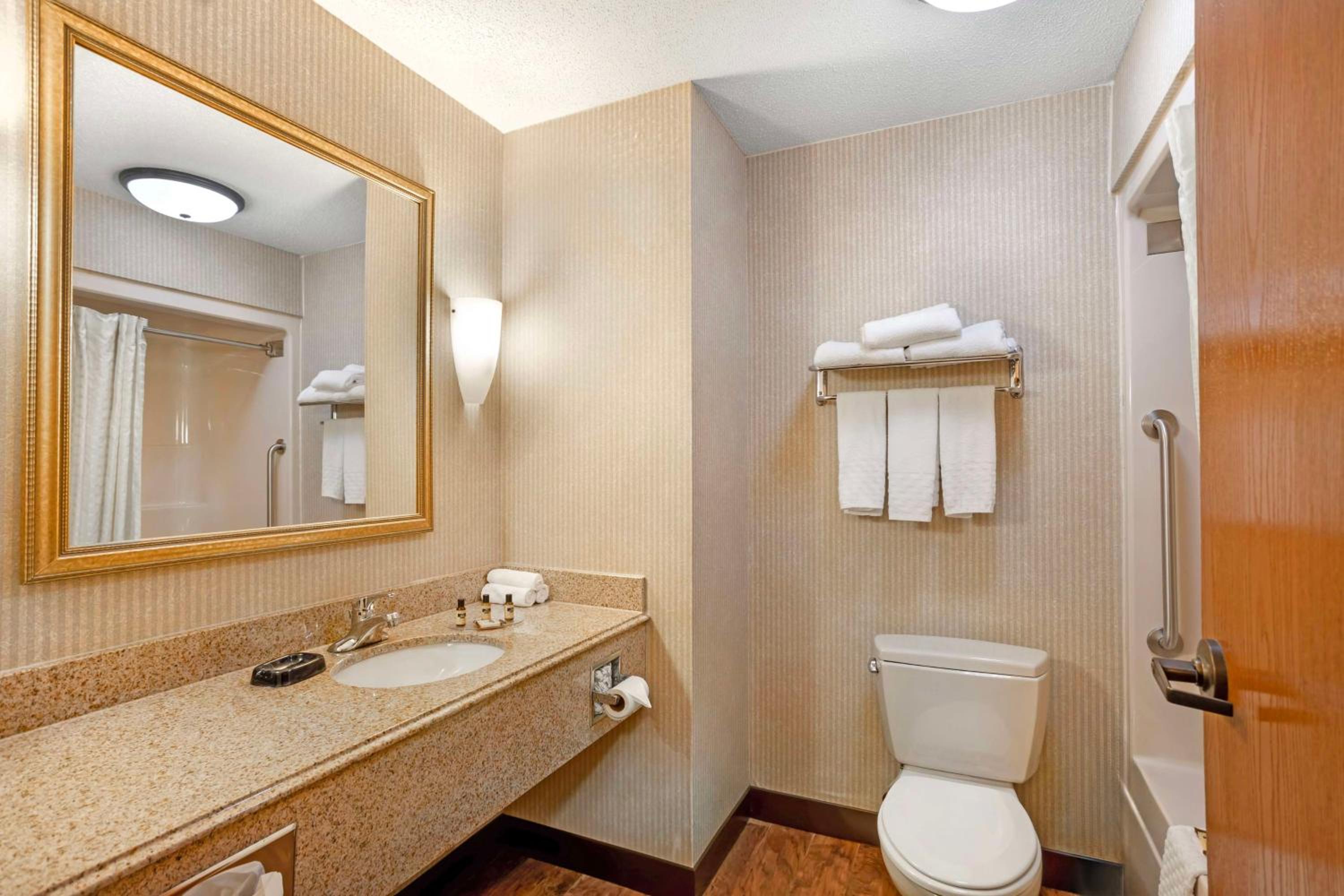 King Suite - Mobility Accessible with Bathtub and Sofa Bed - Photo 4