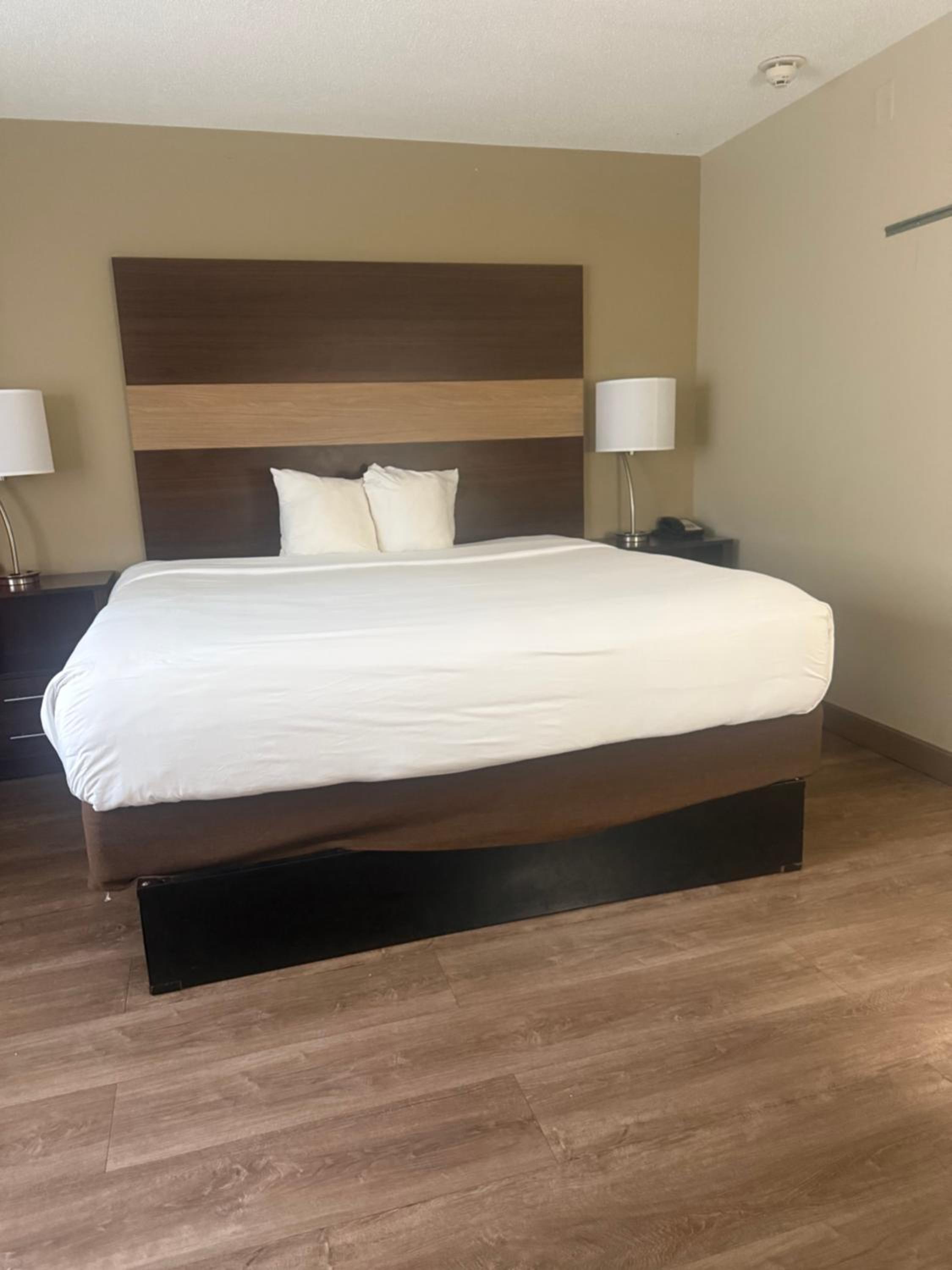King Suite - Photo 4