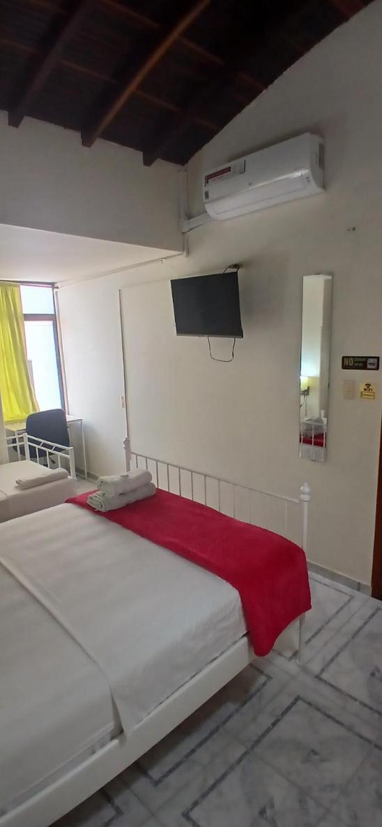 Double or Twin Room photo 1