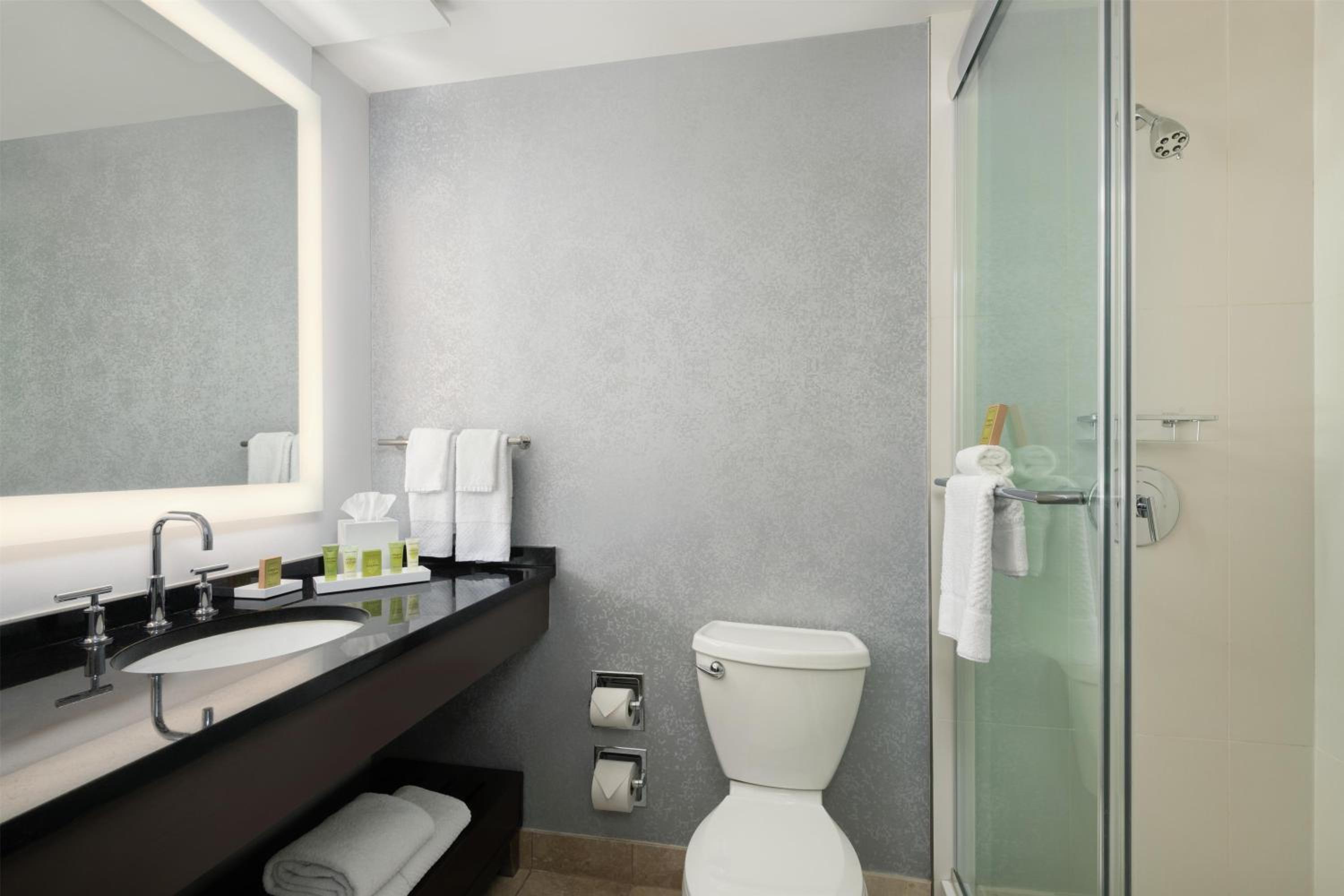 Premium King Room with Skyline View - High Floor - Photo 4