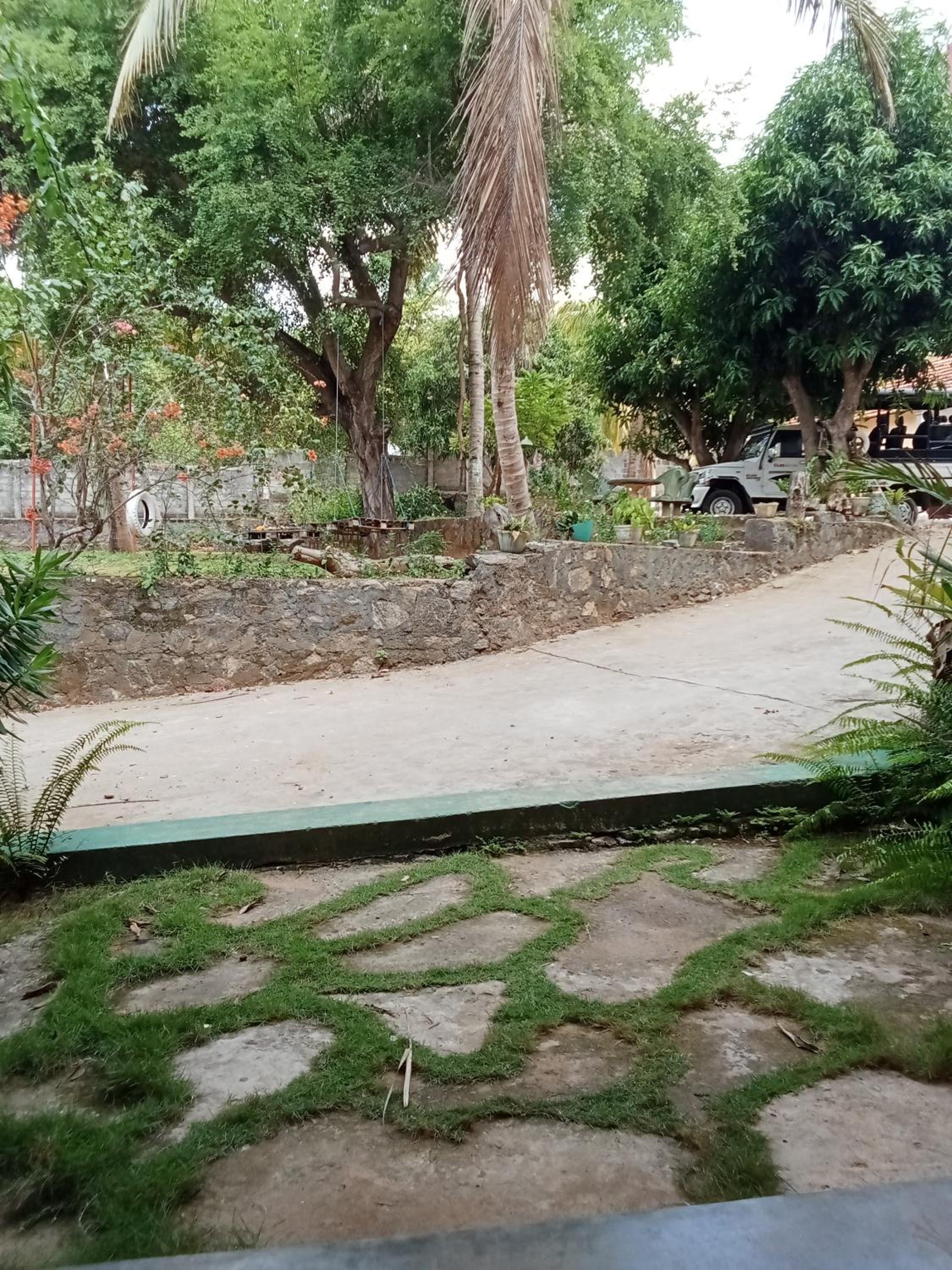 Family Room with Garden View photo 2