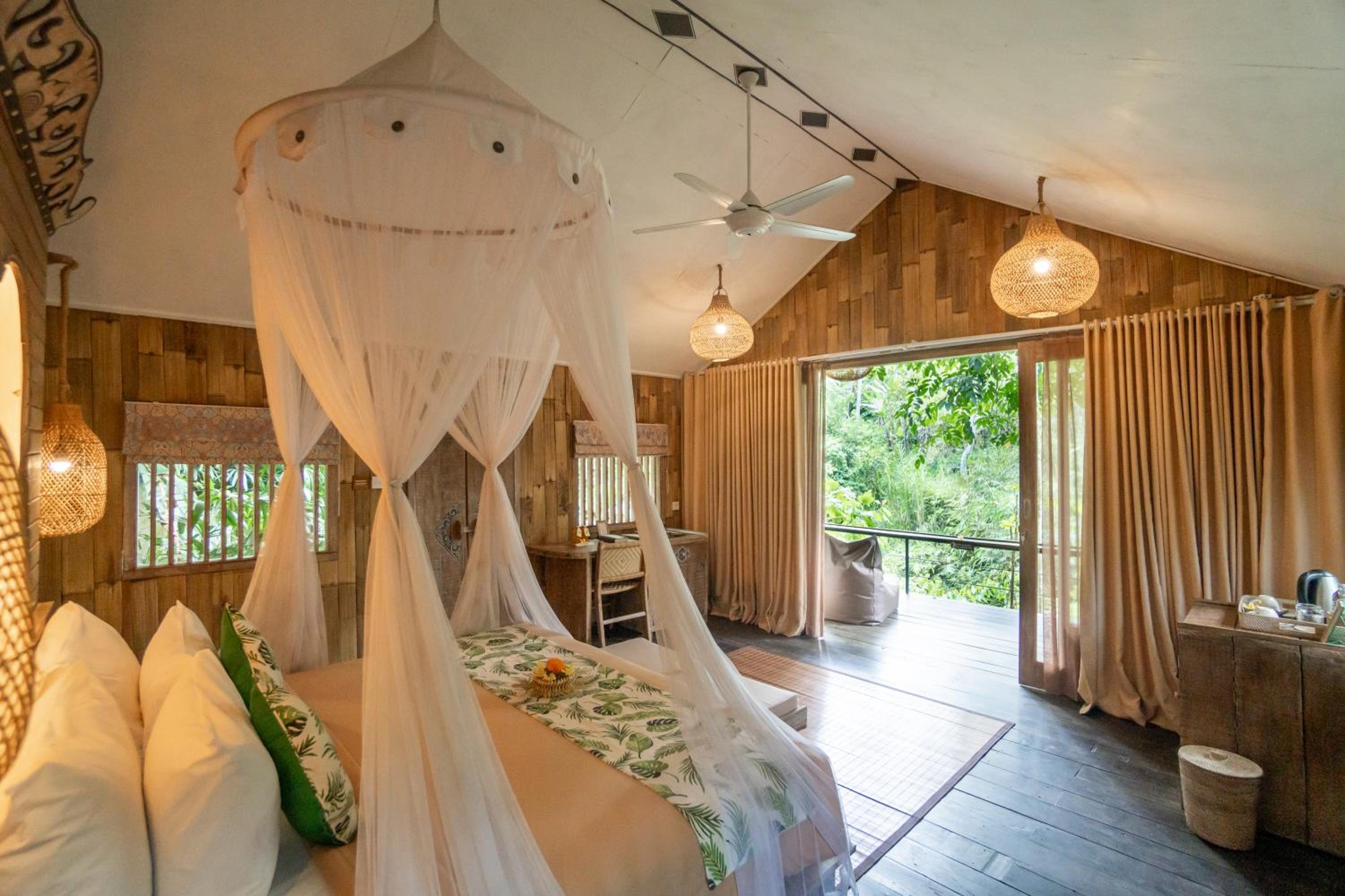 Suite Jungle Lodge - Special Saver