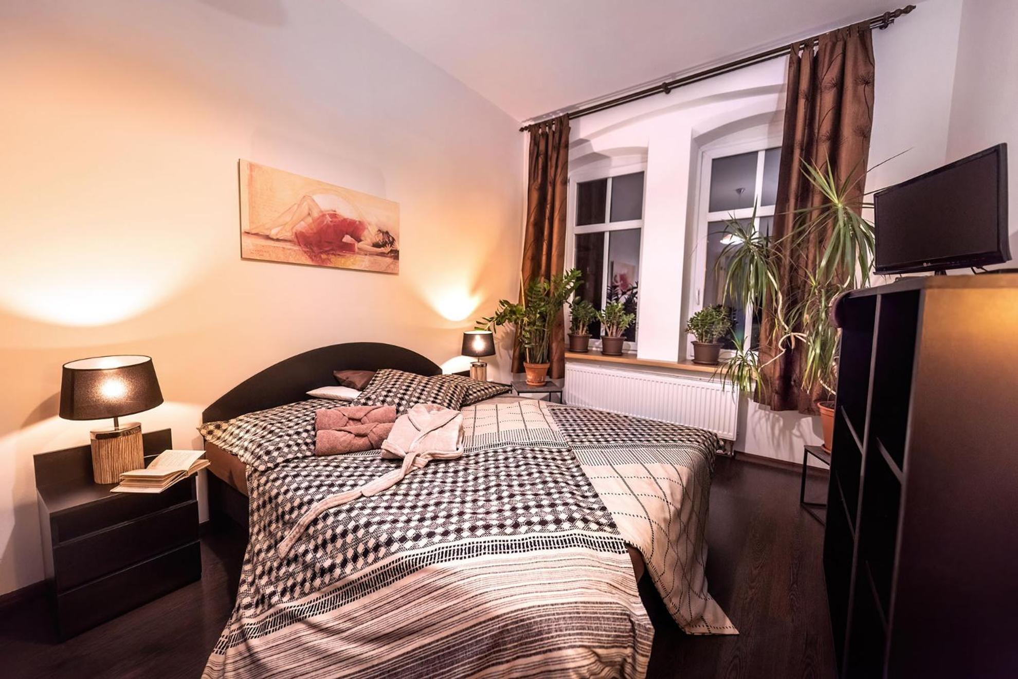 Deluxe One-Bedroom Apartment with City View photo 2