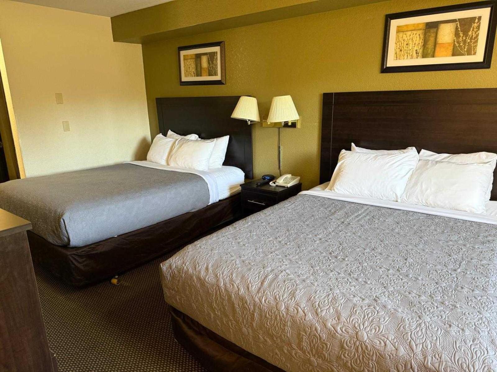 Superior Double Room photo 1