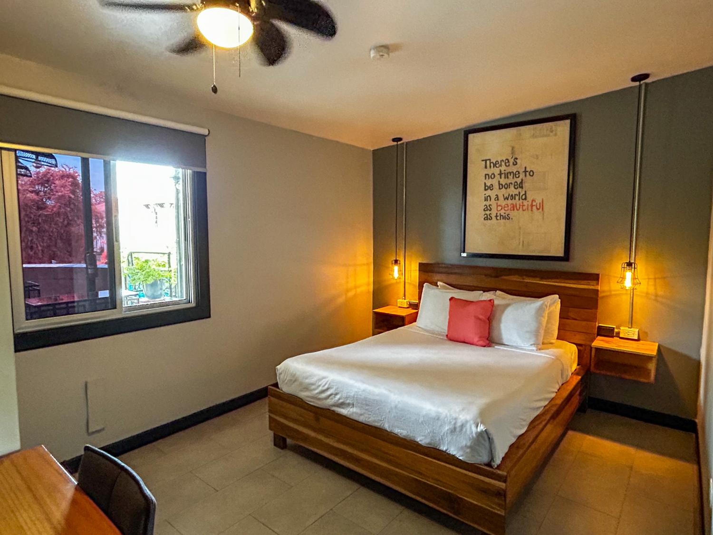 Standard Double Room photo 1