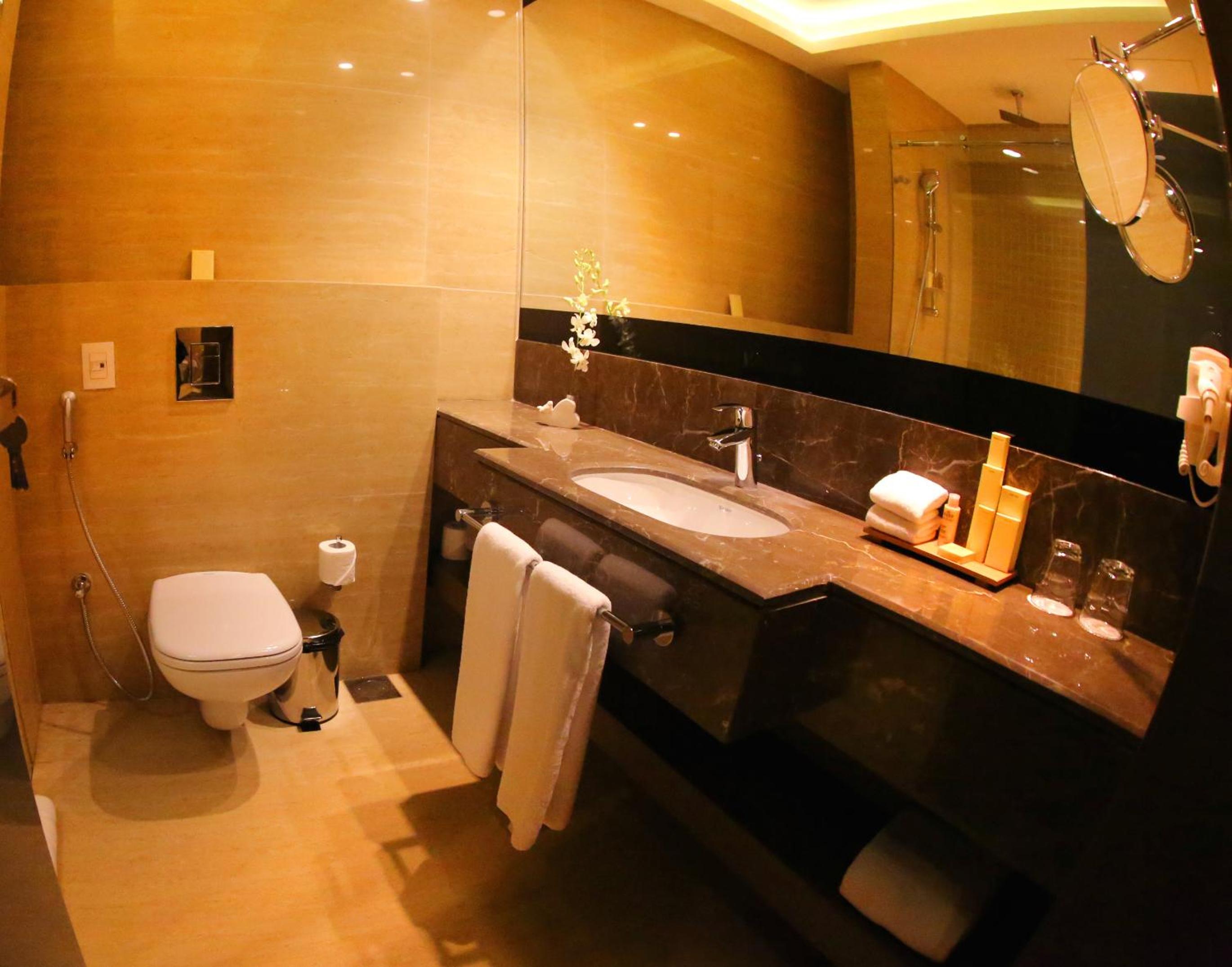 Deluxe Room photo 2
