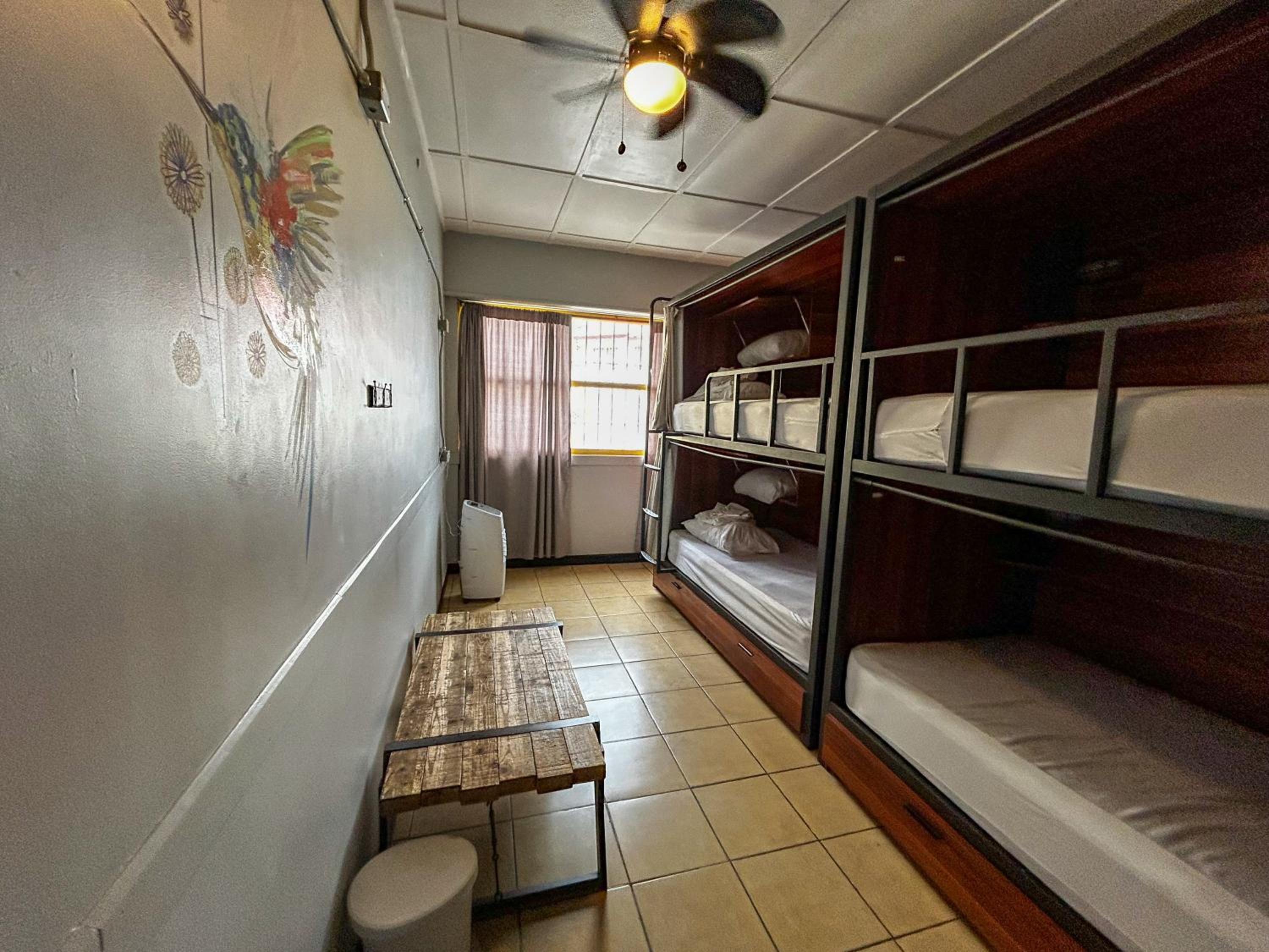 Single Bed in Female Dormitory Room photo 1