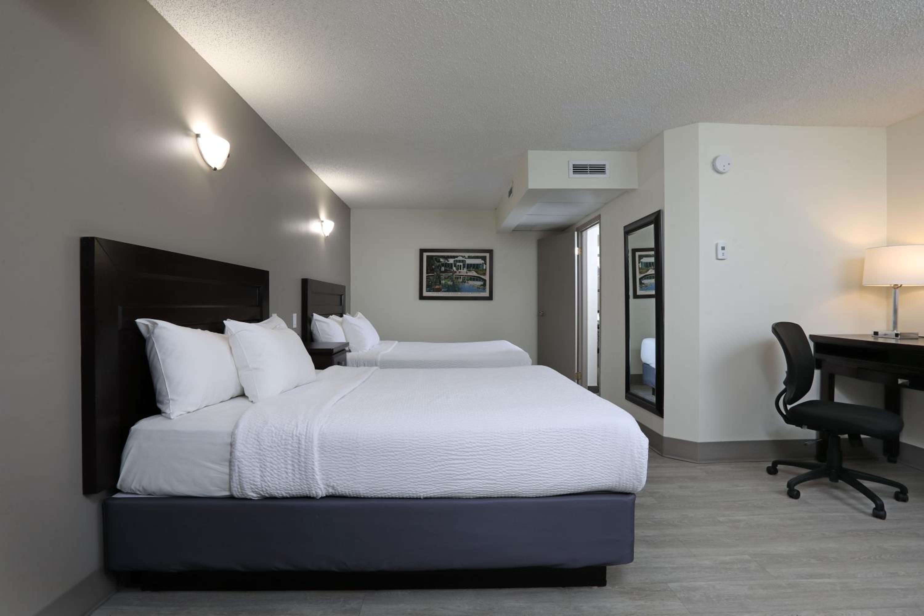 Deluxe Queen Room photo 3