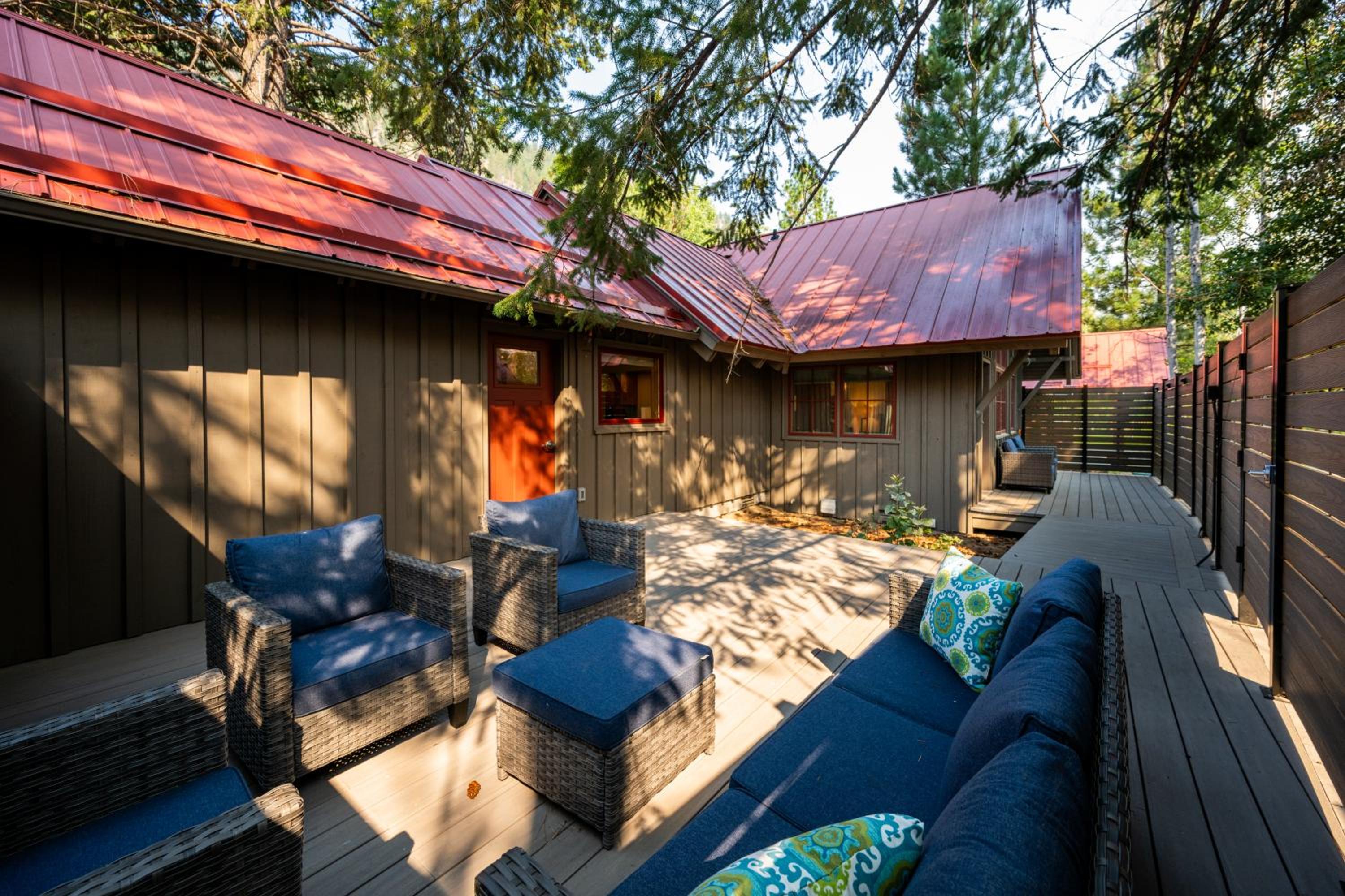 Stellar's Jay Cabin