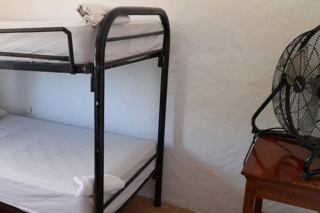 Single Bed in 4-Bed Dormitory Room