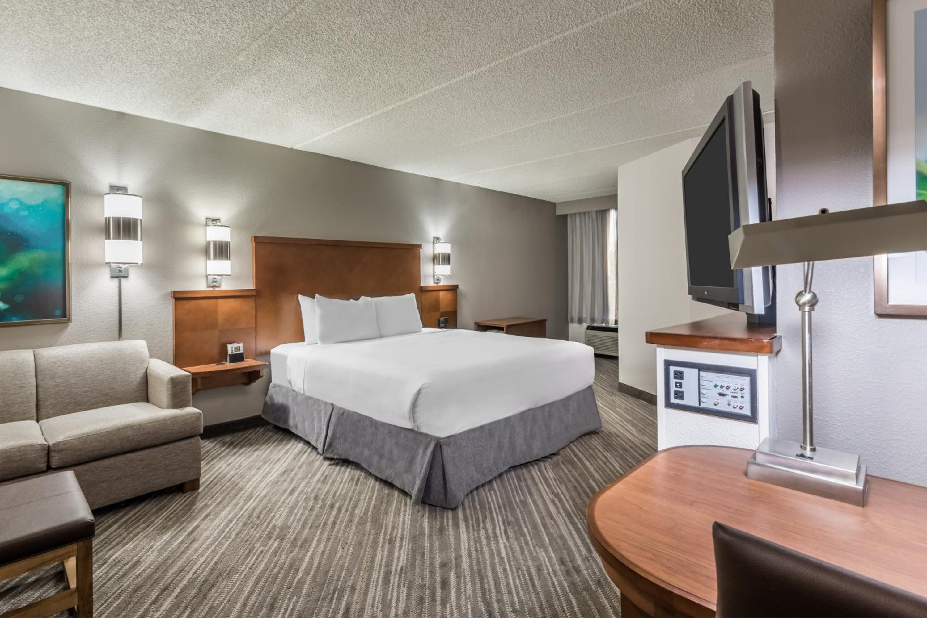King Room with Roll-In Shower - Disability Access
