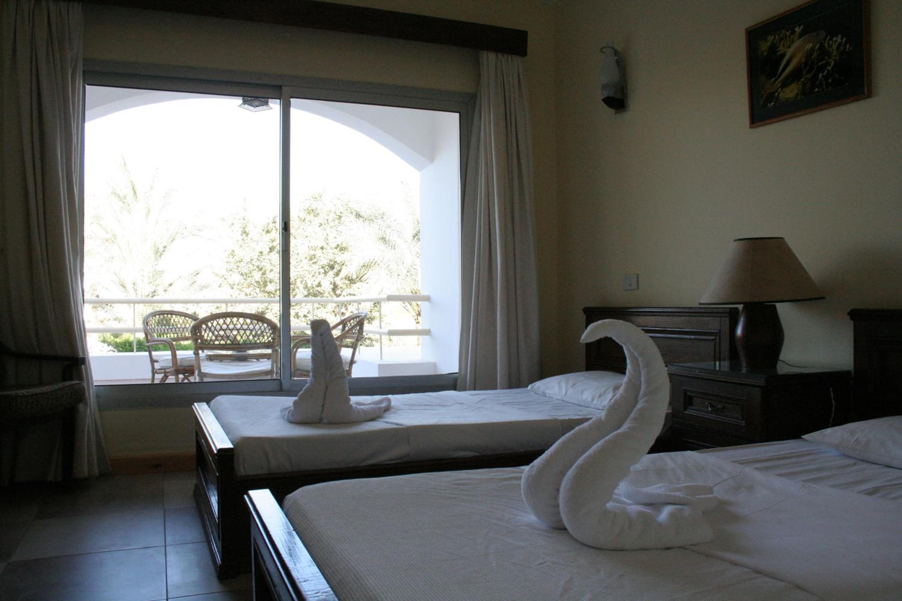 Twin/Double Room