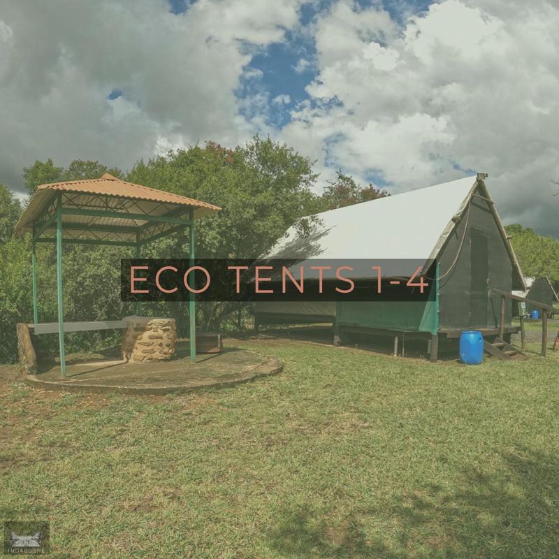 Tent photo 1