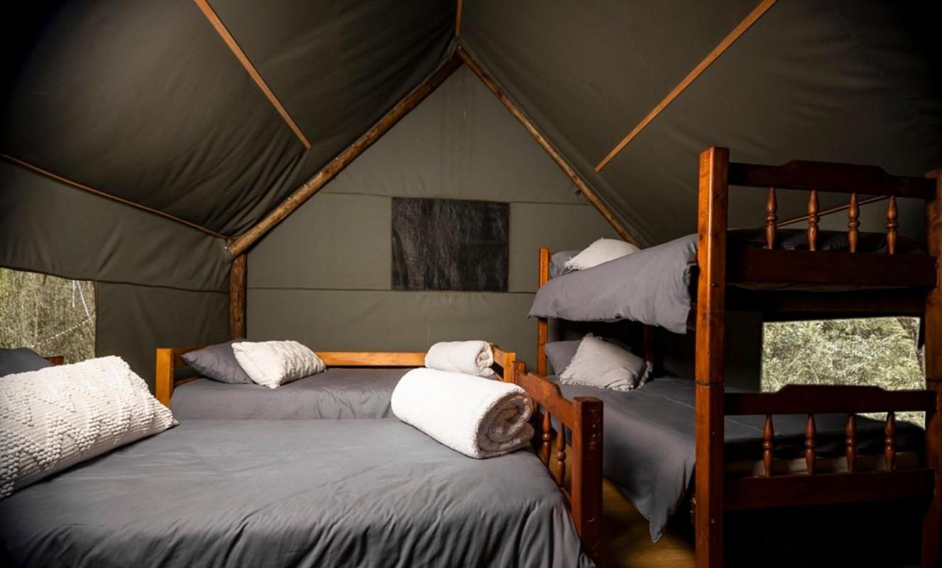 Tent photo 1