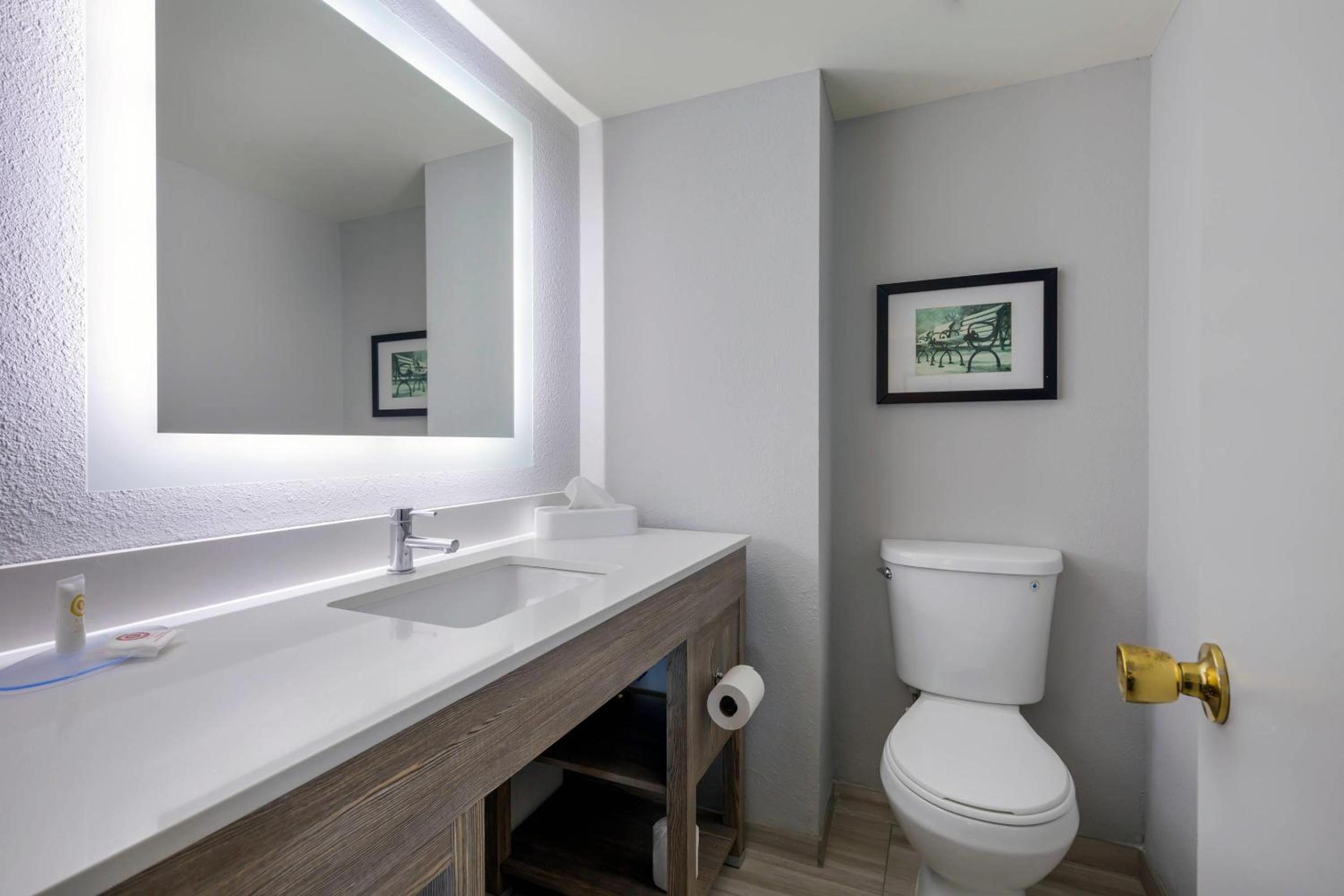 Queen Room with Two Queen Beds - Non-Smoking / Pet Friendly, photo 6