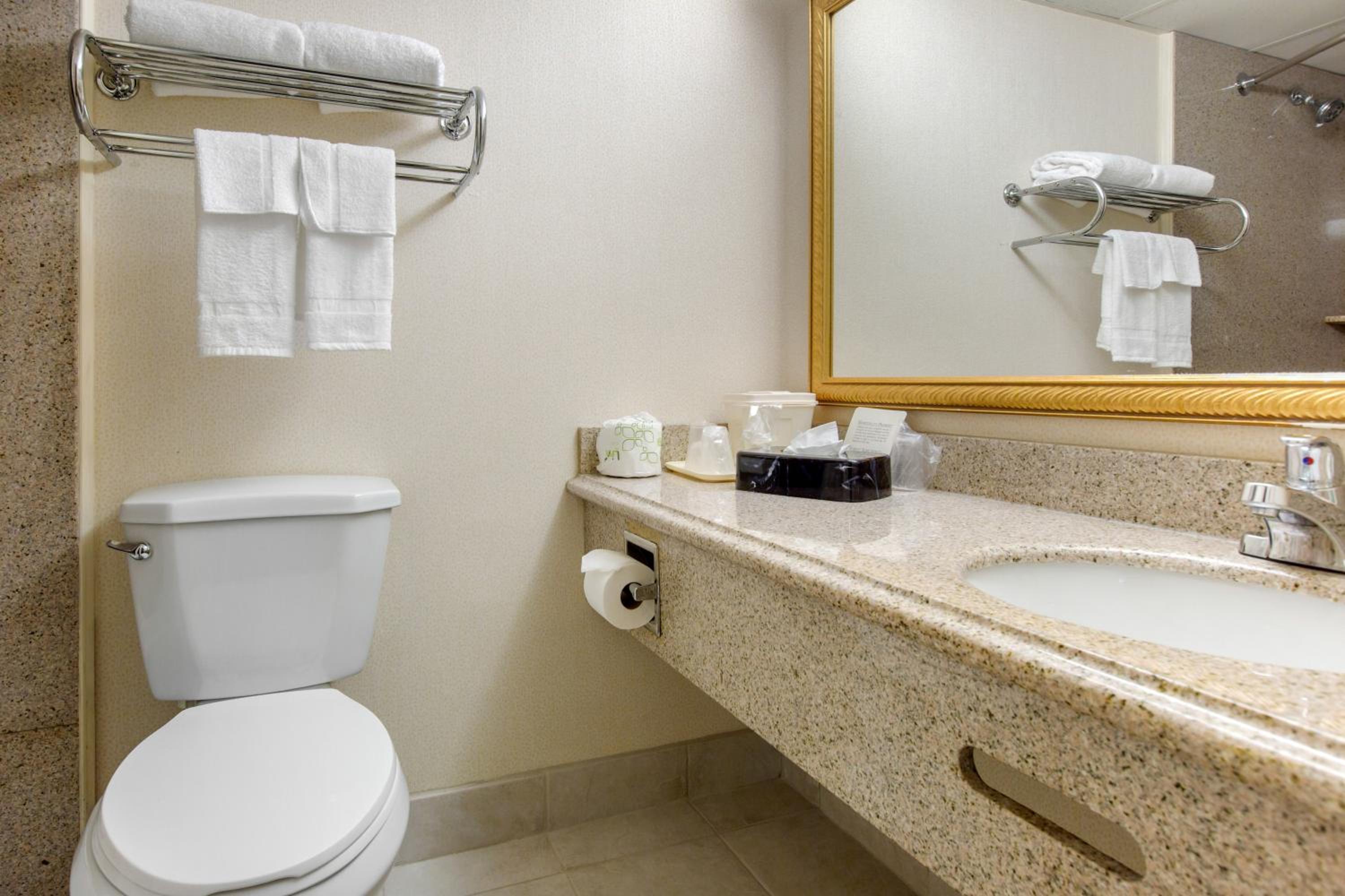 King Room with Accessible Tub - Accessible/Smoking - Photo 2