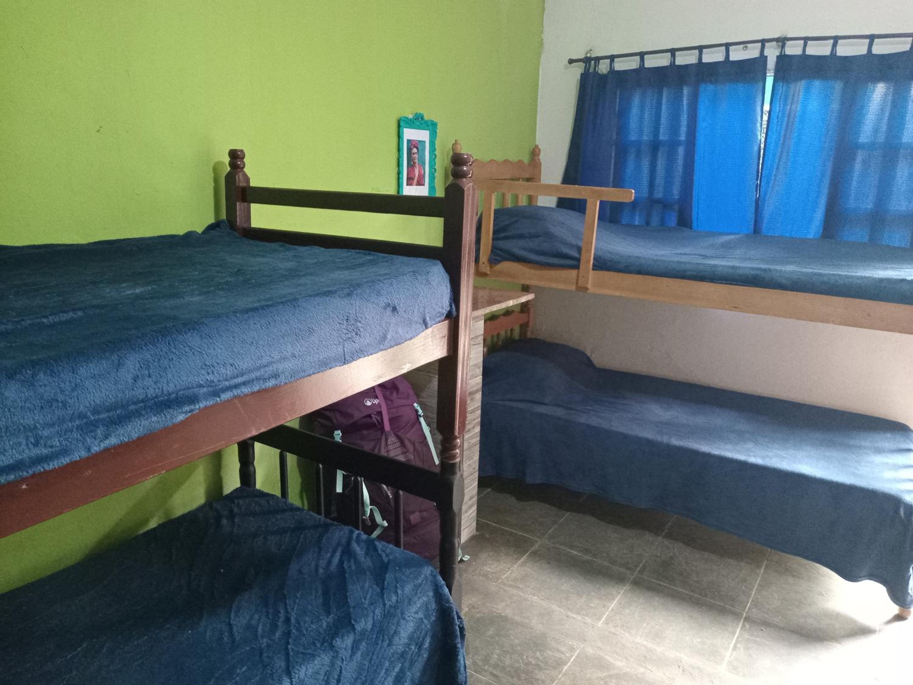 Bed in 6-Bed Female Dormitory Room photo 3