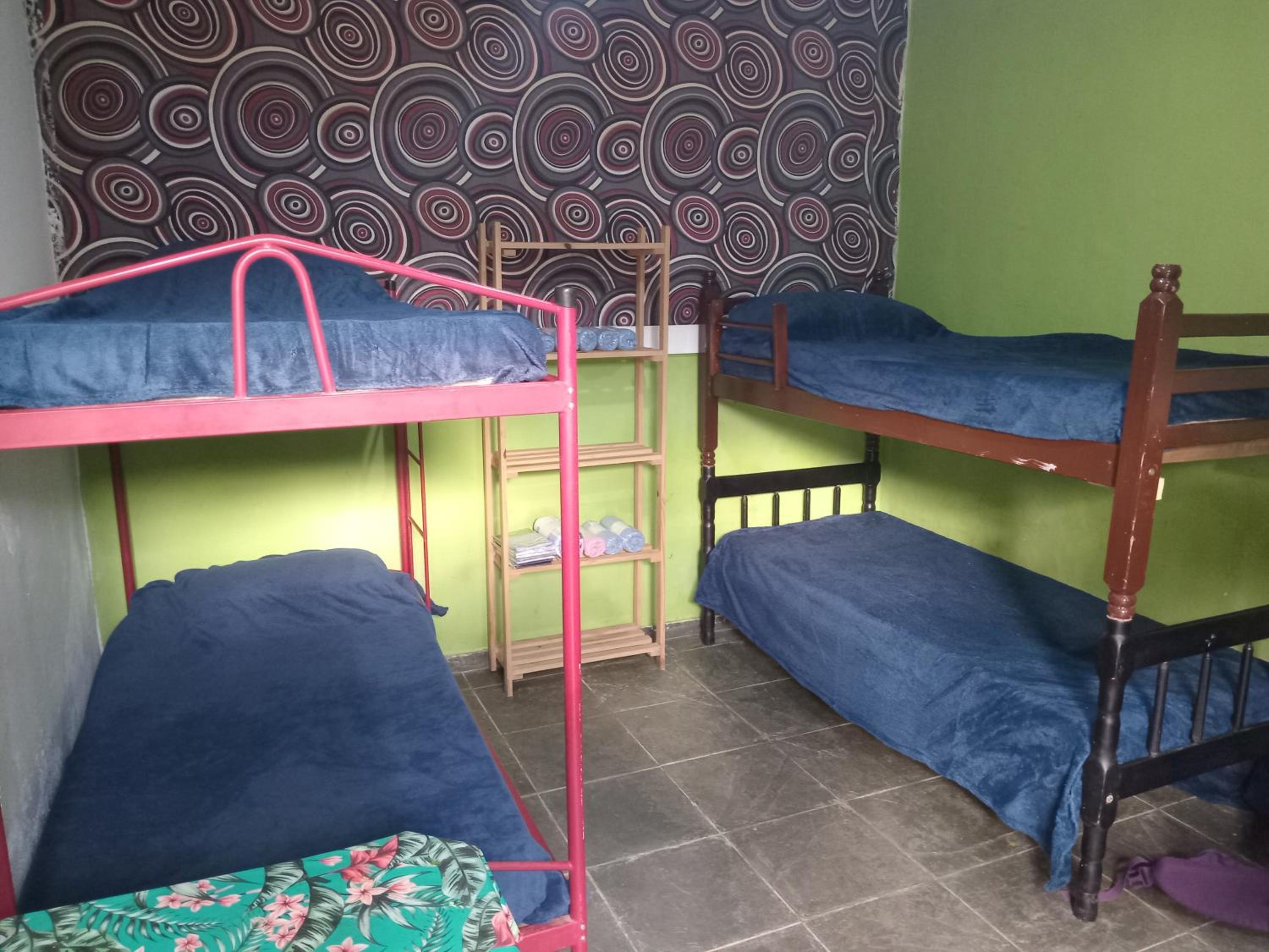 Bed in 6-Bed Female Dormitory Room photo 1