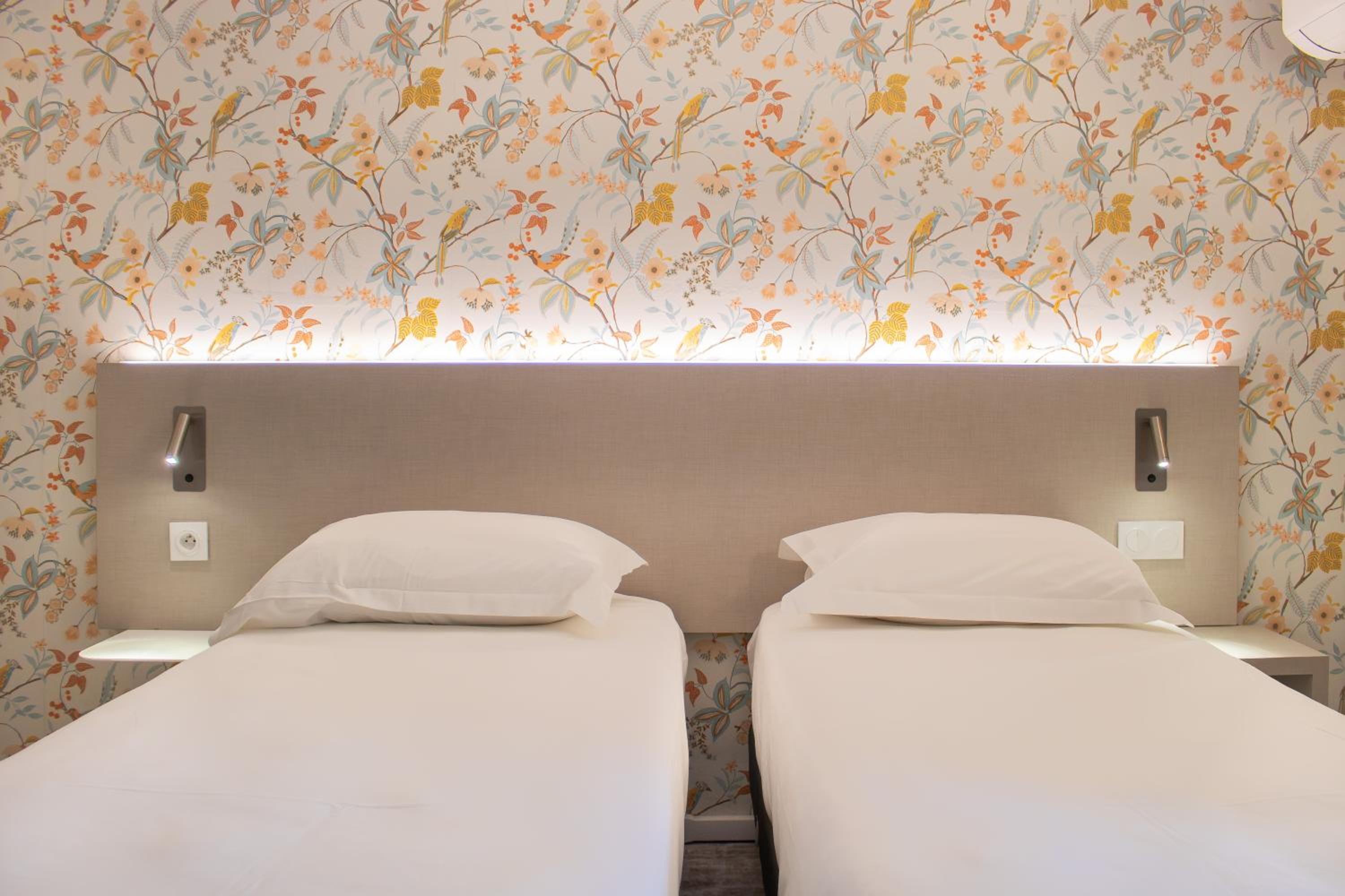 Superior Twin Room photo 3