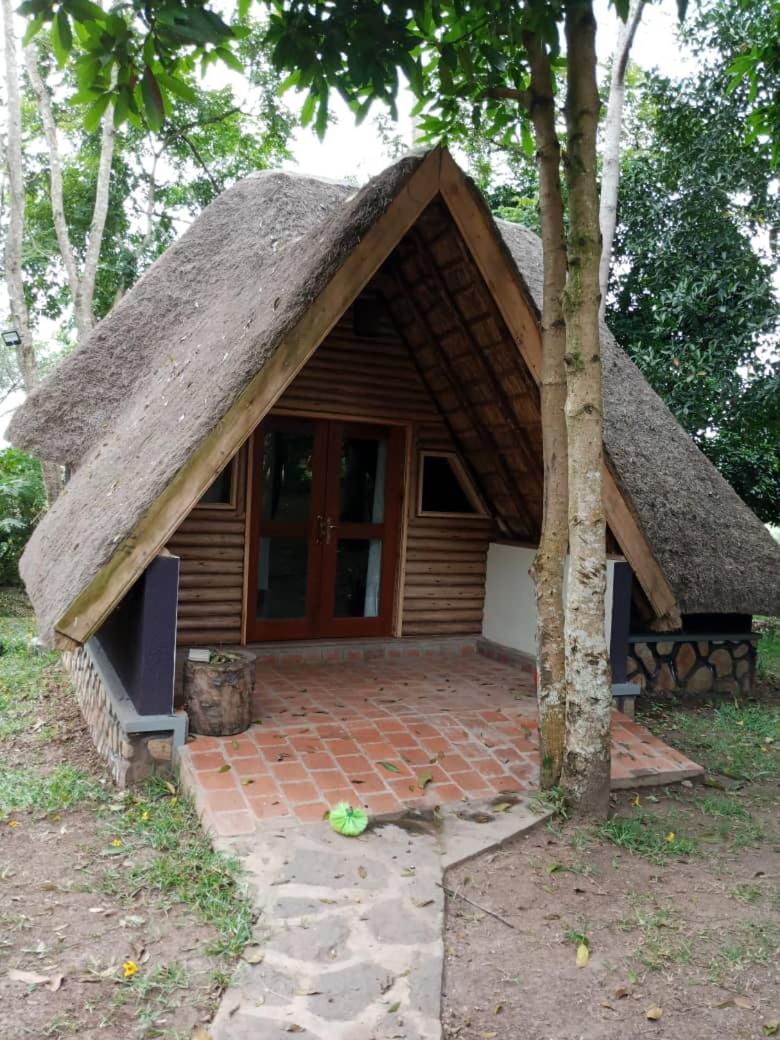 Deluxe Double Room (2 Adults + 1 Child) photo 3