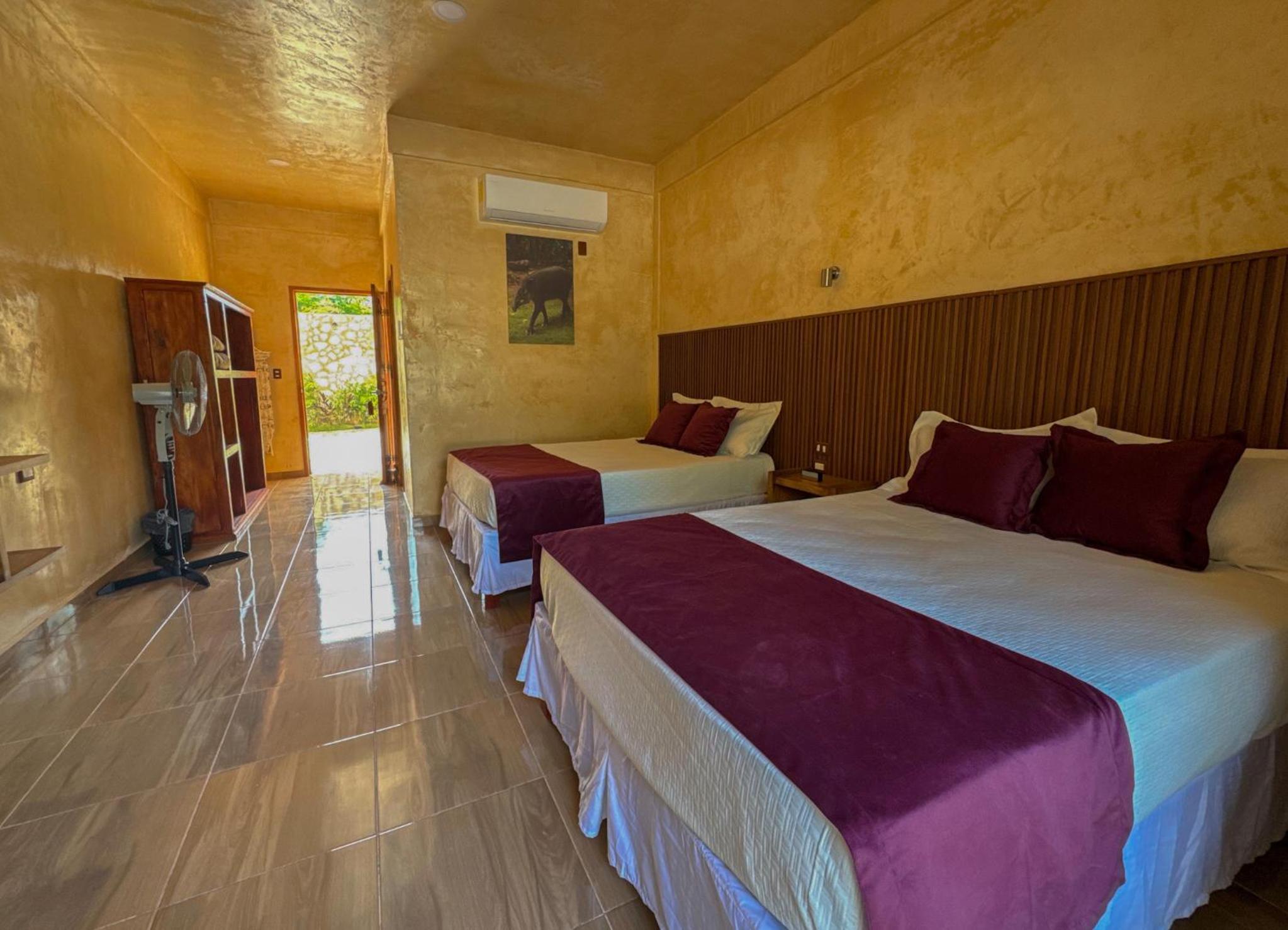 Twin Room photo 1