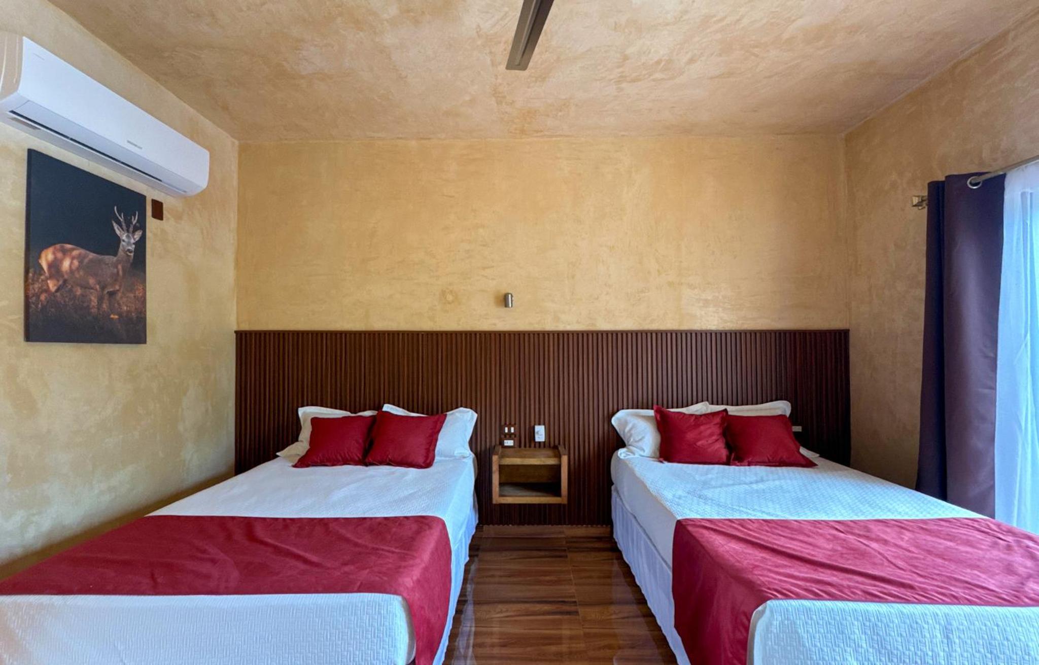 Twin Room photo 3