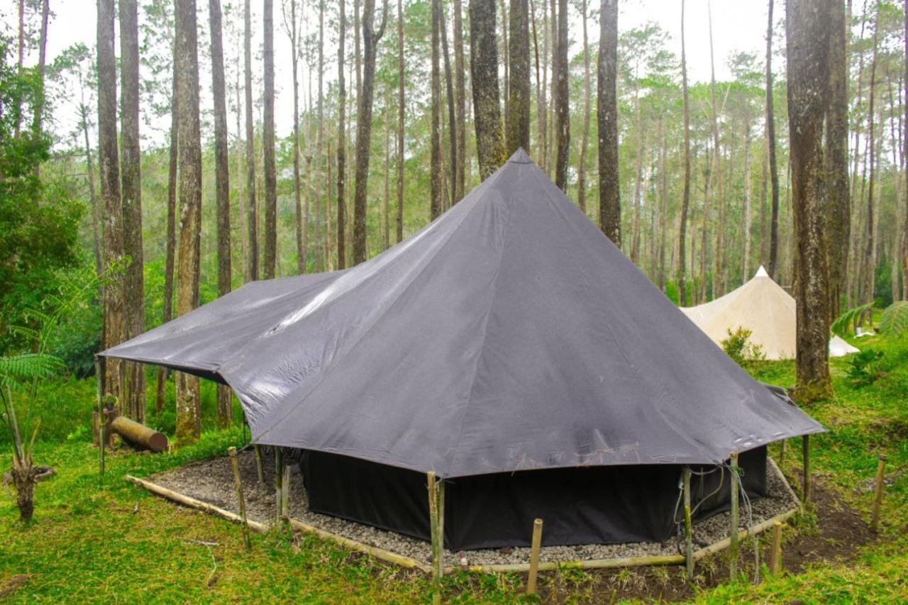 Tent photo 3