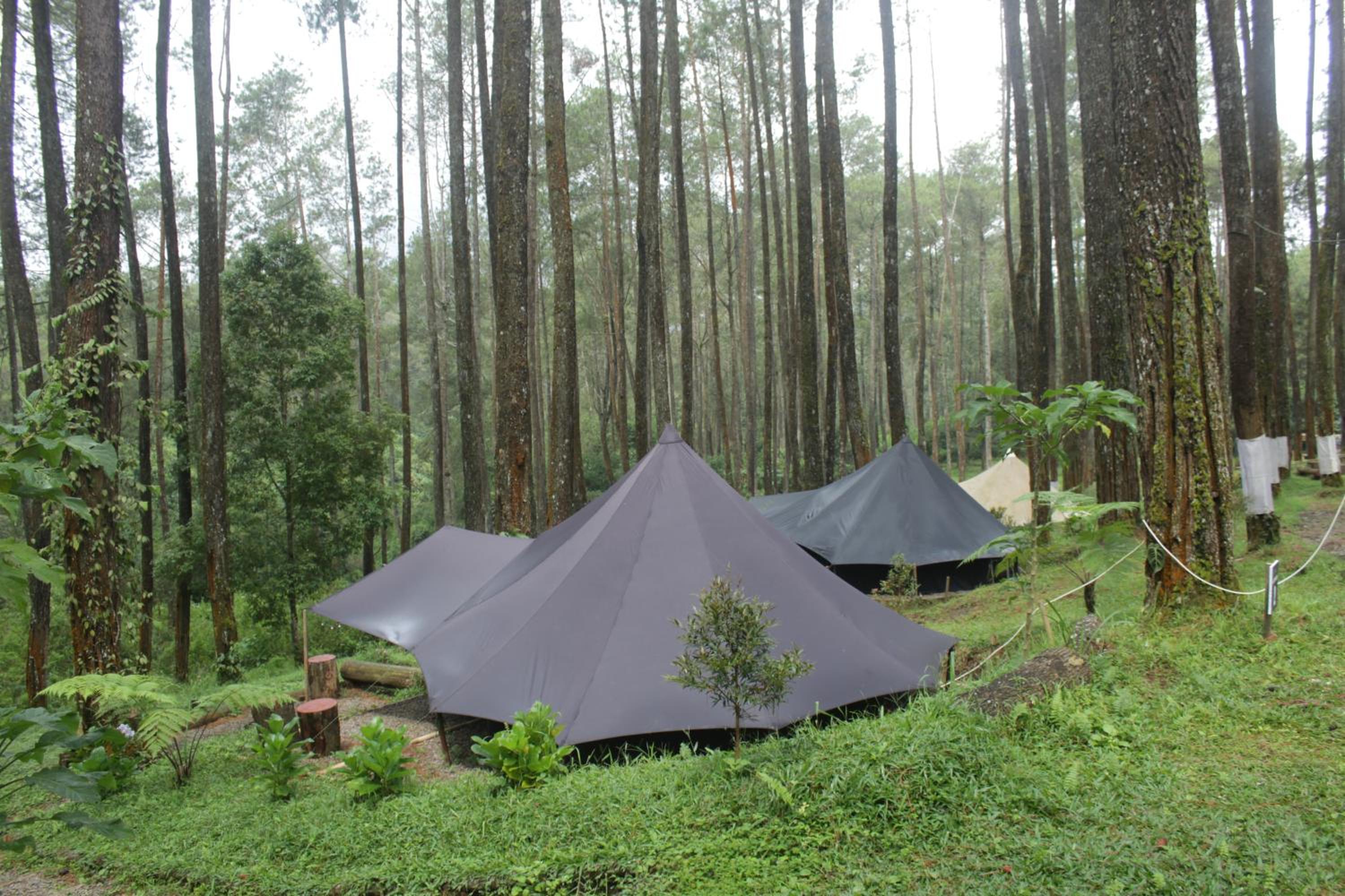 Tent photo 1