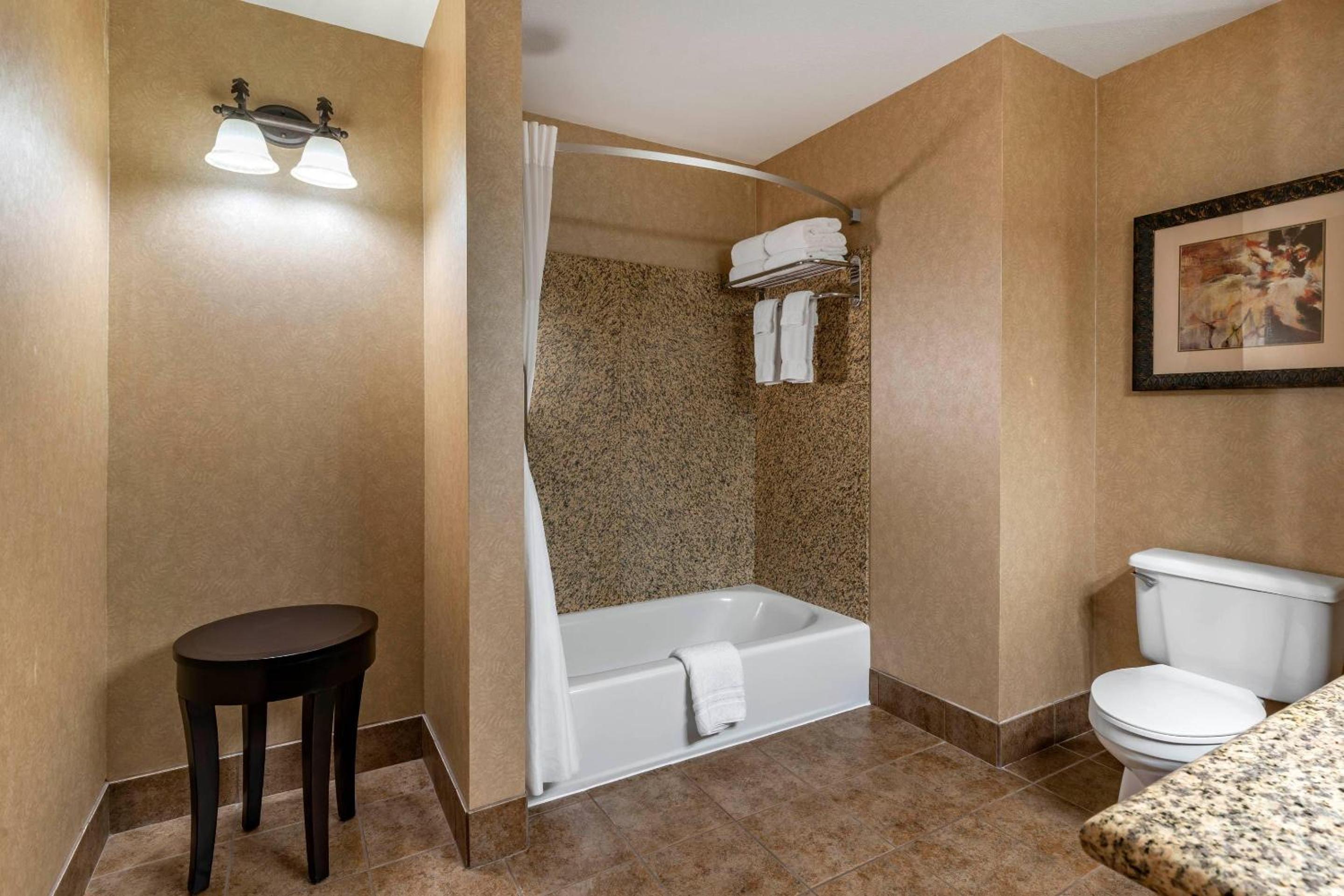 Efficiency King Suite with River View - Non Smoking
