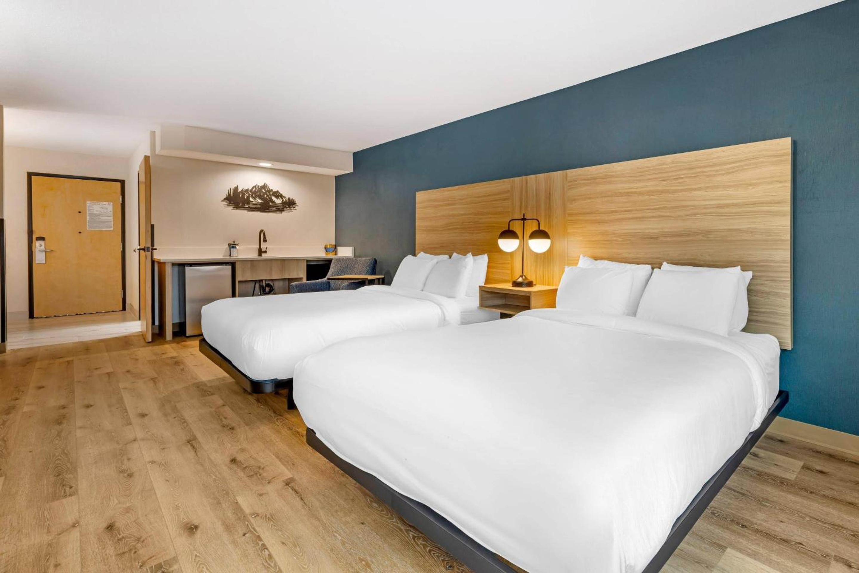 Efficiency Suite 2 Queen Bed, No View/Roll In Shower/Disability Access - Non Smoking - Photo 5
