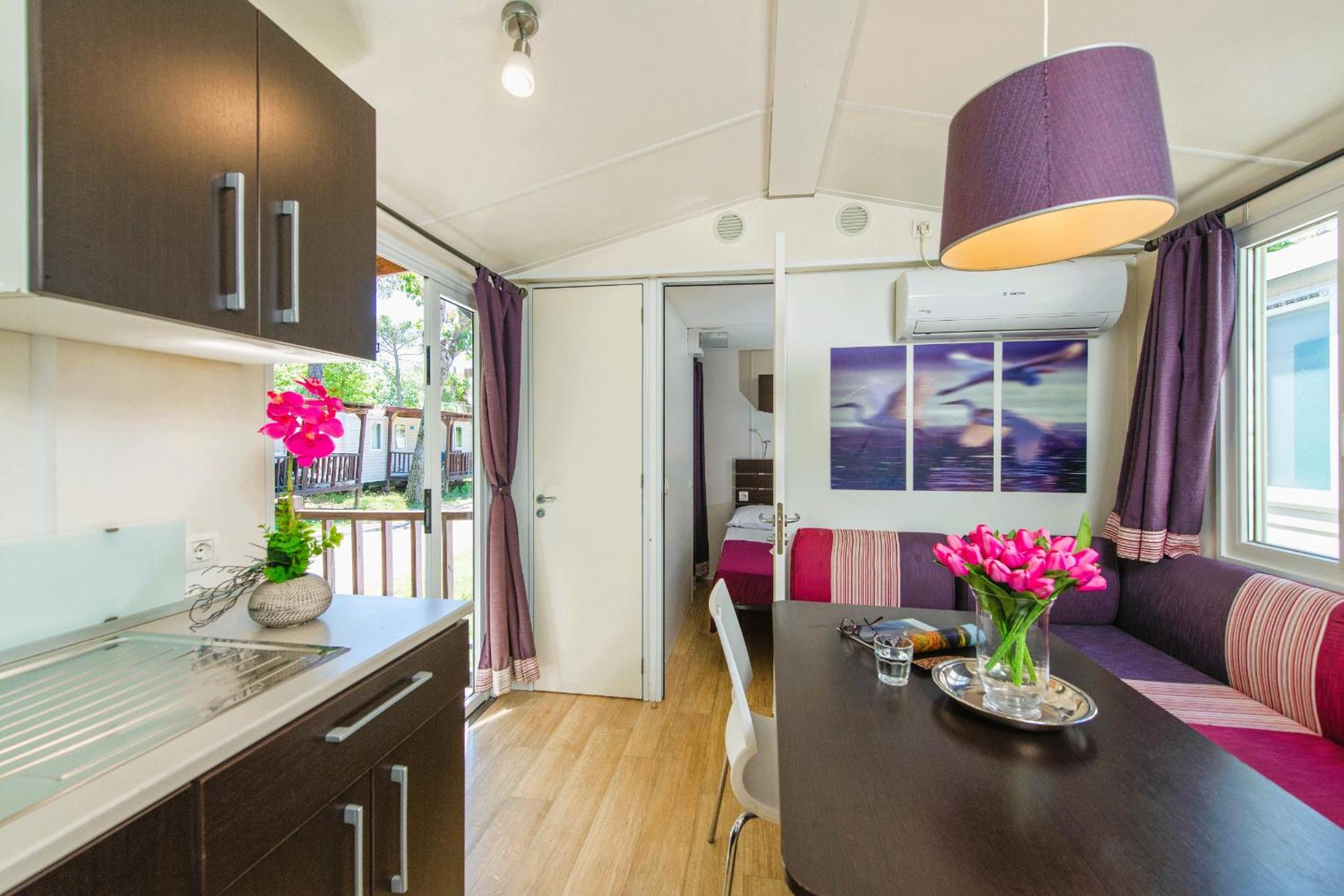 Mobile Home Deluxe photo 3