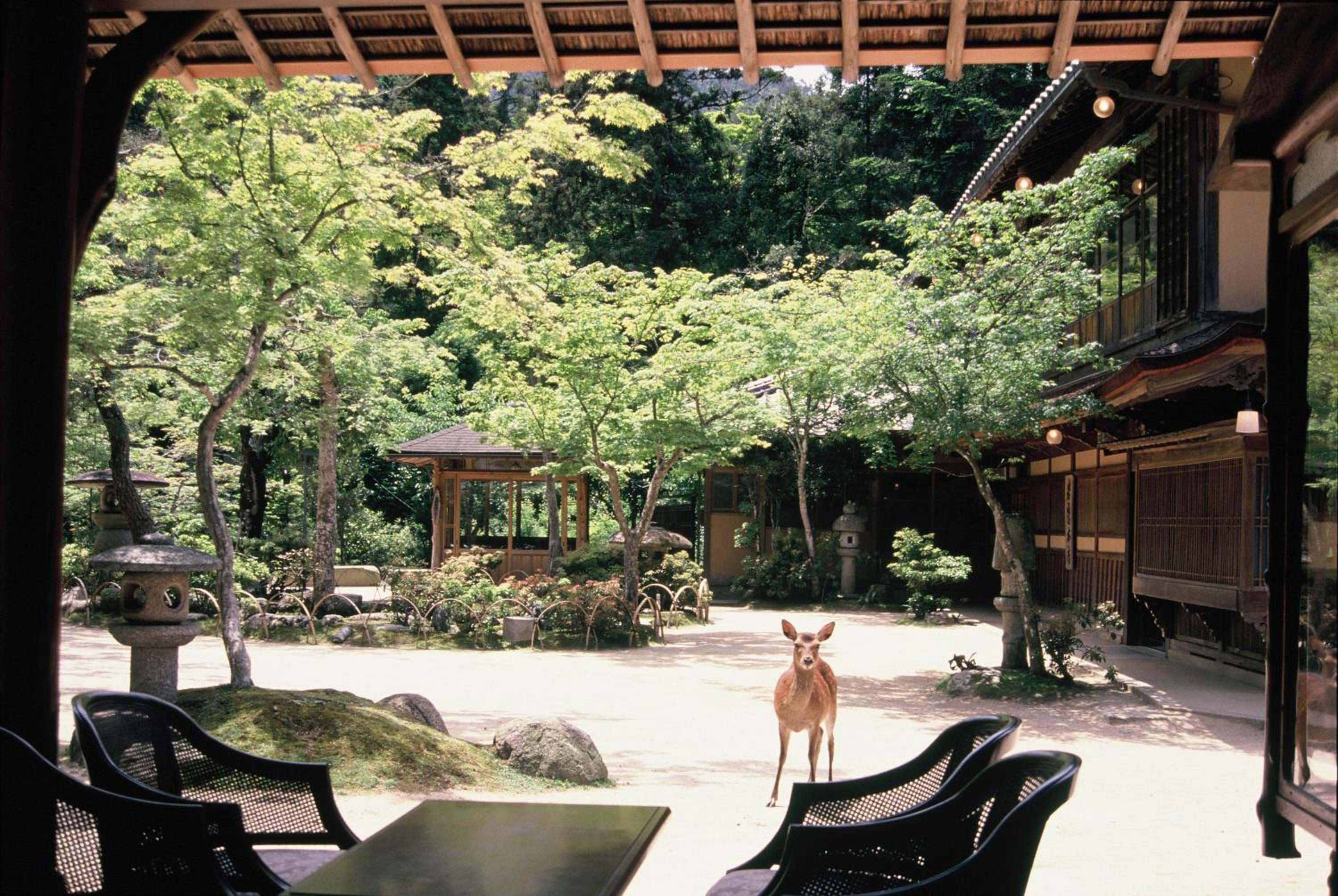 Japanese-Style Room - New Building photo 3