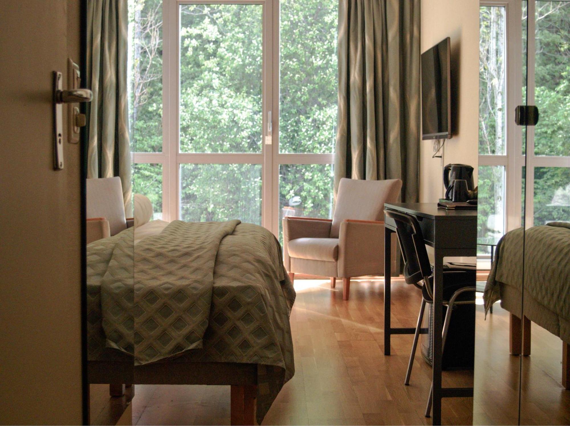 Superior Double or Twin Room with Mountain View